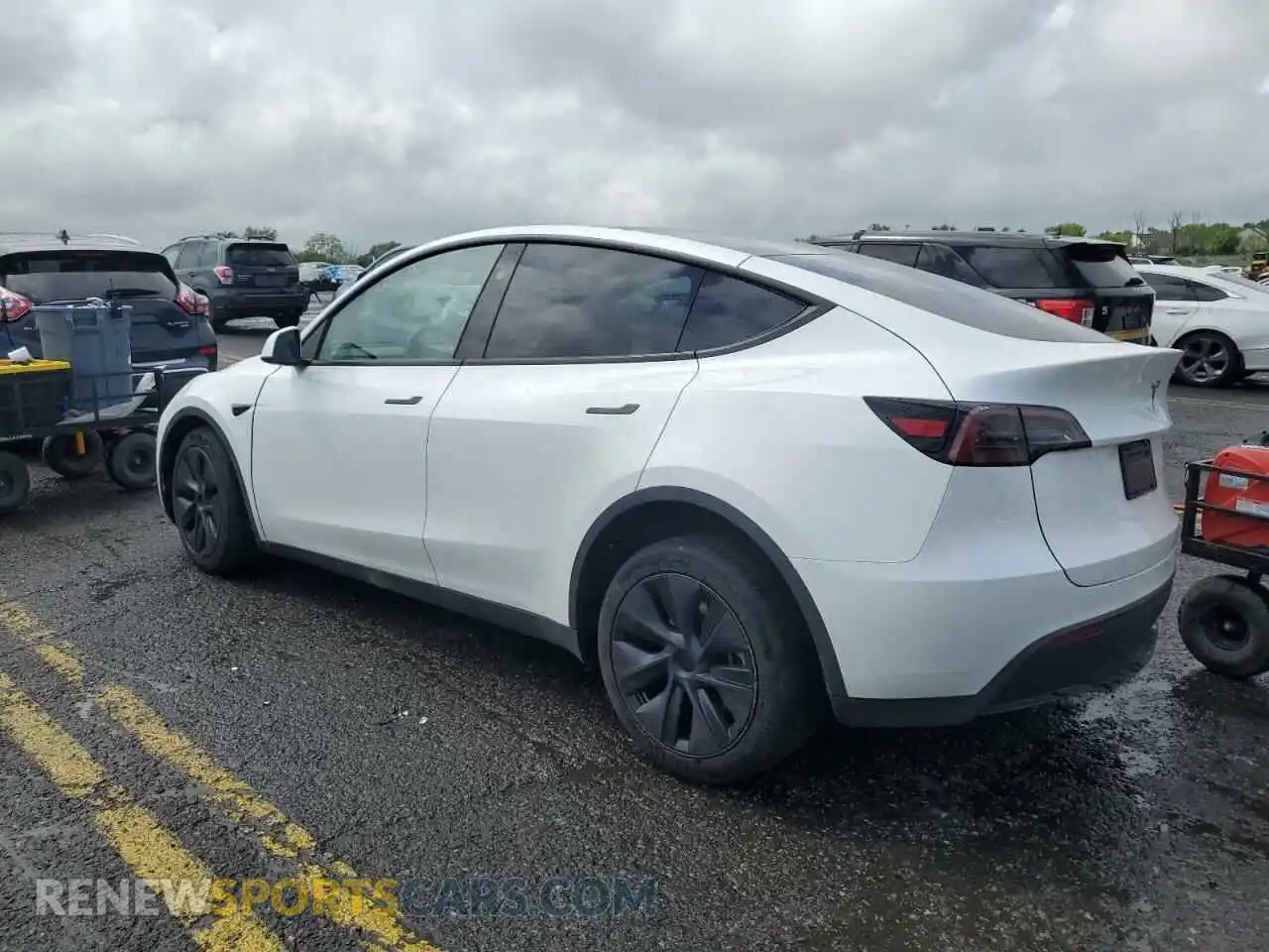 2 Photograph of a damaged car 7SAYGAEEXRF205030 TESLA MODEL Y 2024