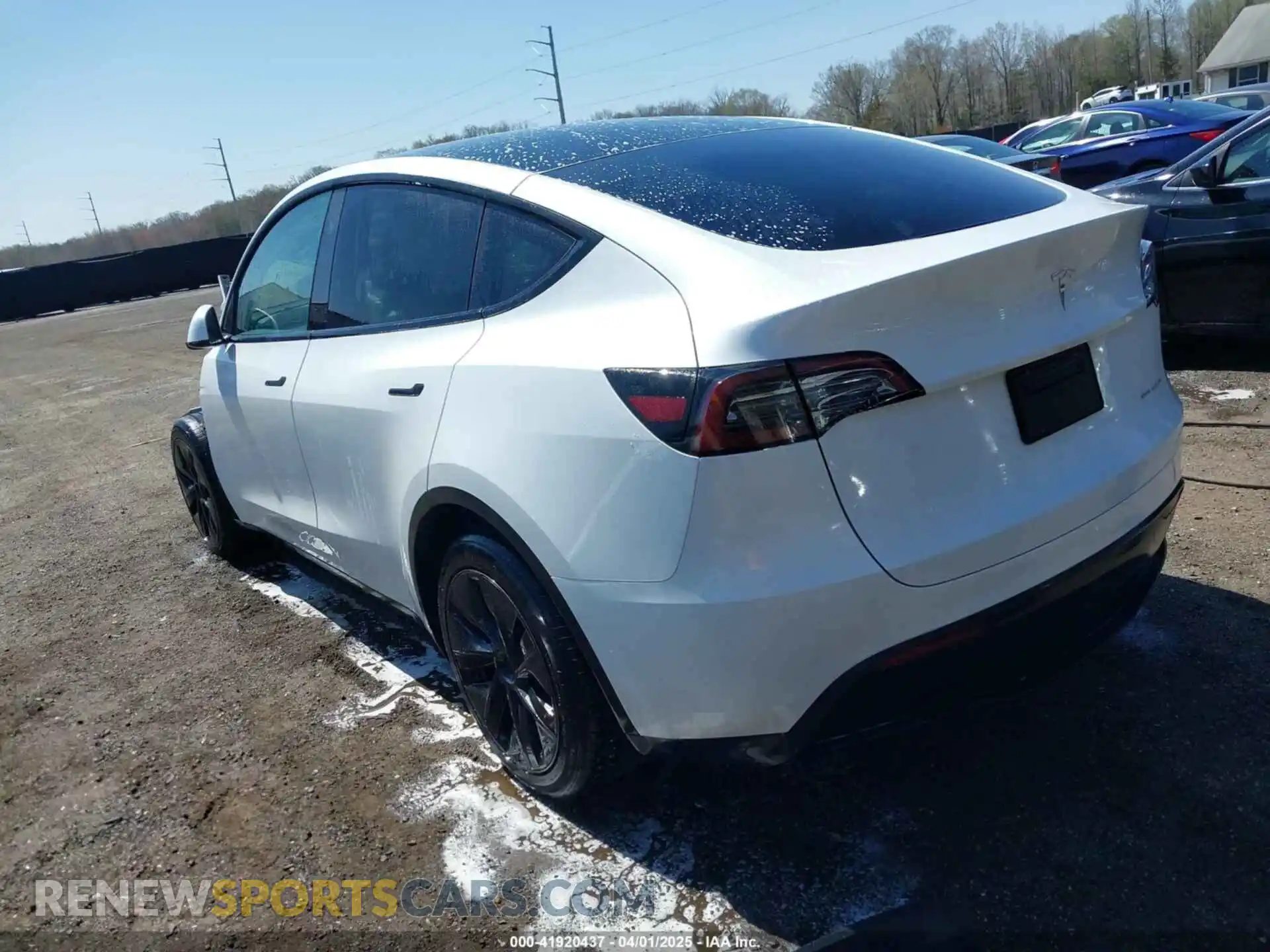 3 Photograph of a damaged car 7SAYGAEEXRF208493 TESLA MODEL Y 2024
