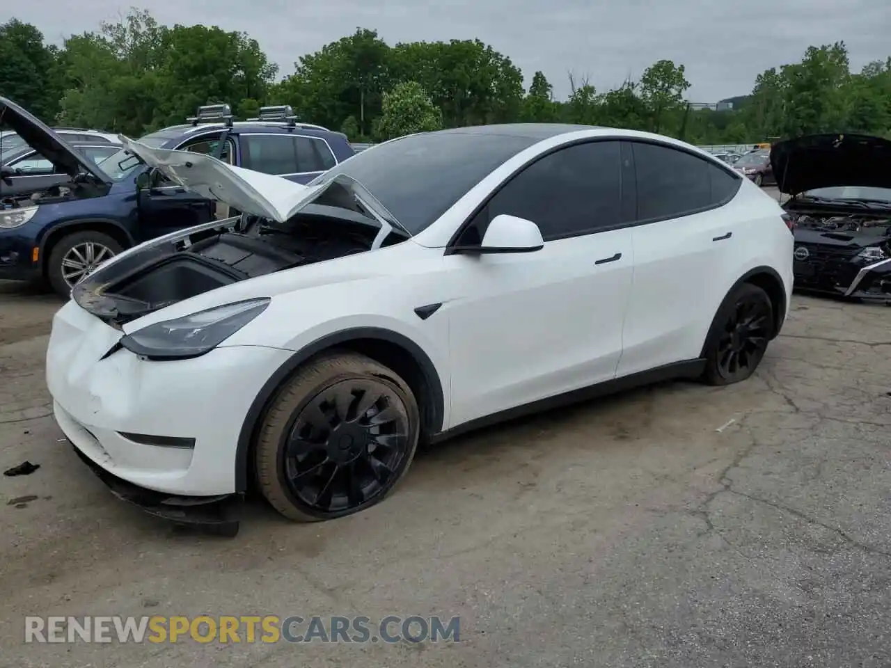 1 Photograph of a damaged car 7SAYGDED1RF094232 TESLA MODEL Y 2024