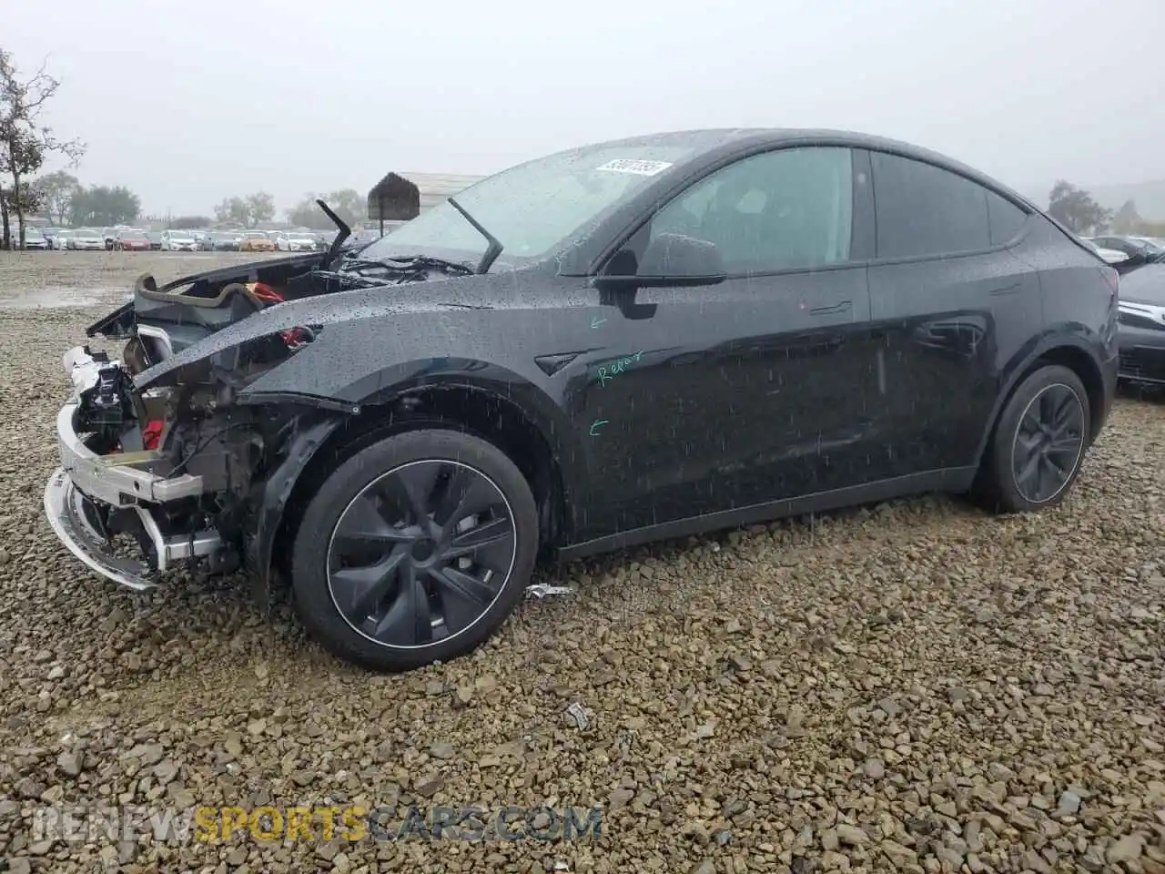 1 Photograph of a damaged car 7SAYGDED3RF108700 TESLA MODEL Y 2024