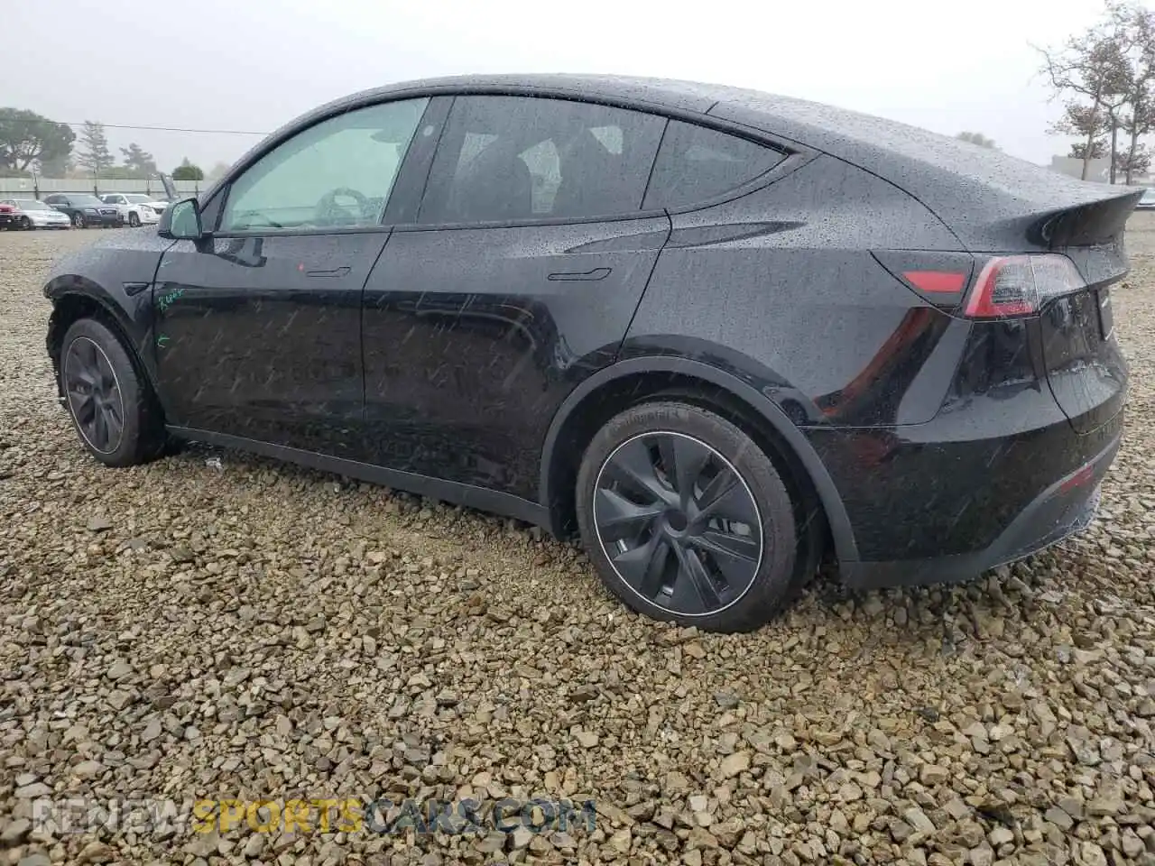 2 Photograph of a damaged car 7SAYGDED3RF108700 TESLA MODEL Y 2024
