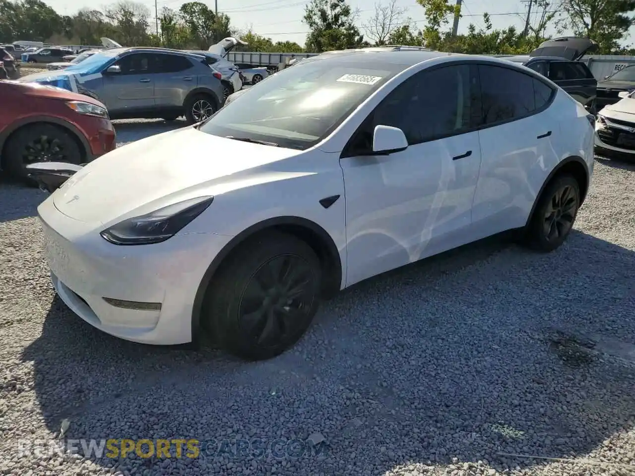 1 fotografías del automóvil dañado 7SAYGDED3RF131376 TESLA MODEL Y 2024
