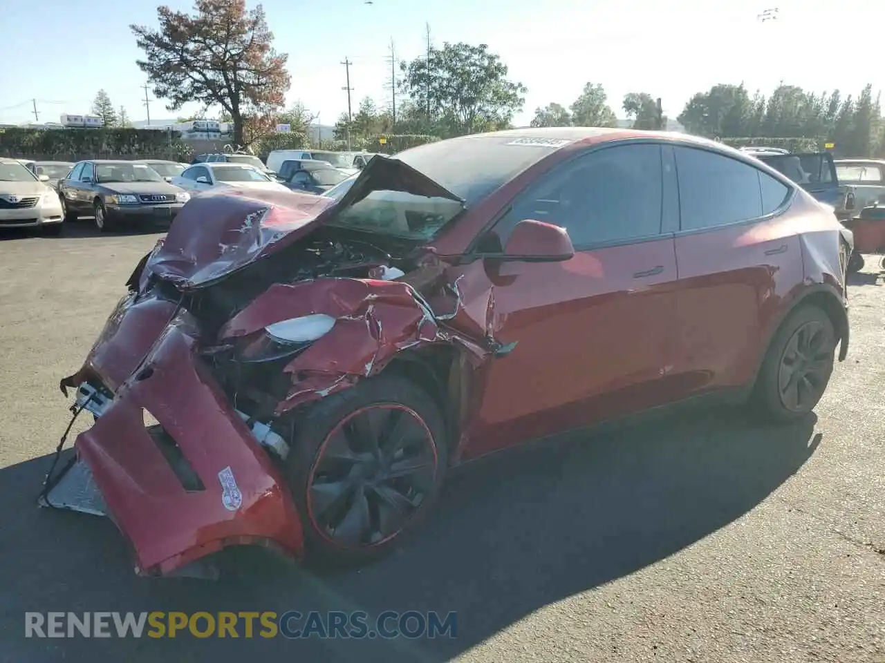 1 Photograph of a damaged car 7SAYGDED4RF201869 TESLA MODEL Y 2024