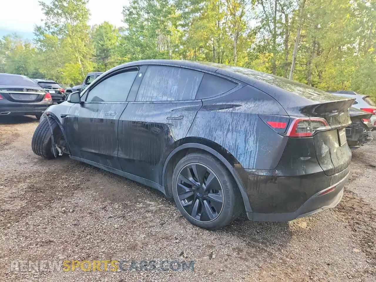 2 Photograph of a damaged car 7SAYGDED4RF993649 TESLA MODEL Y 2024