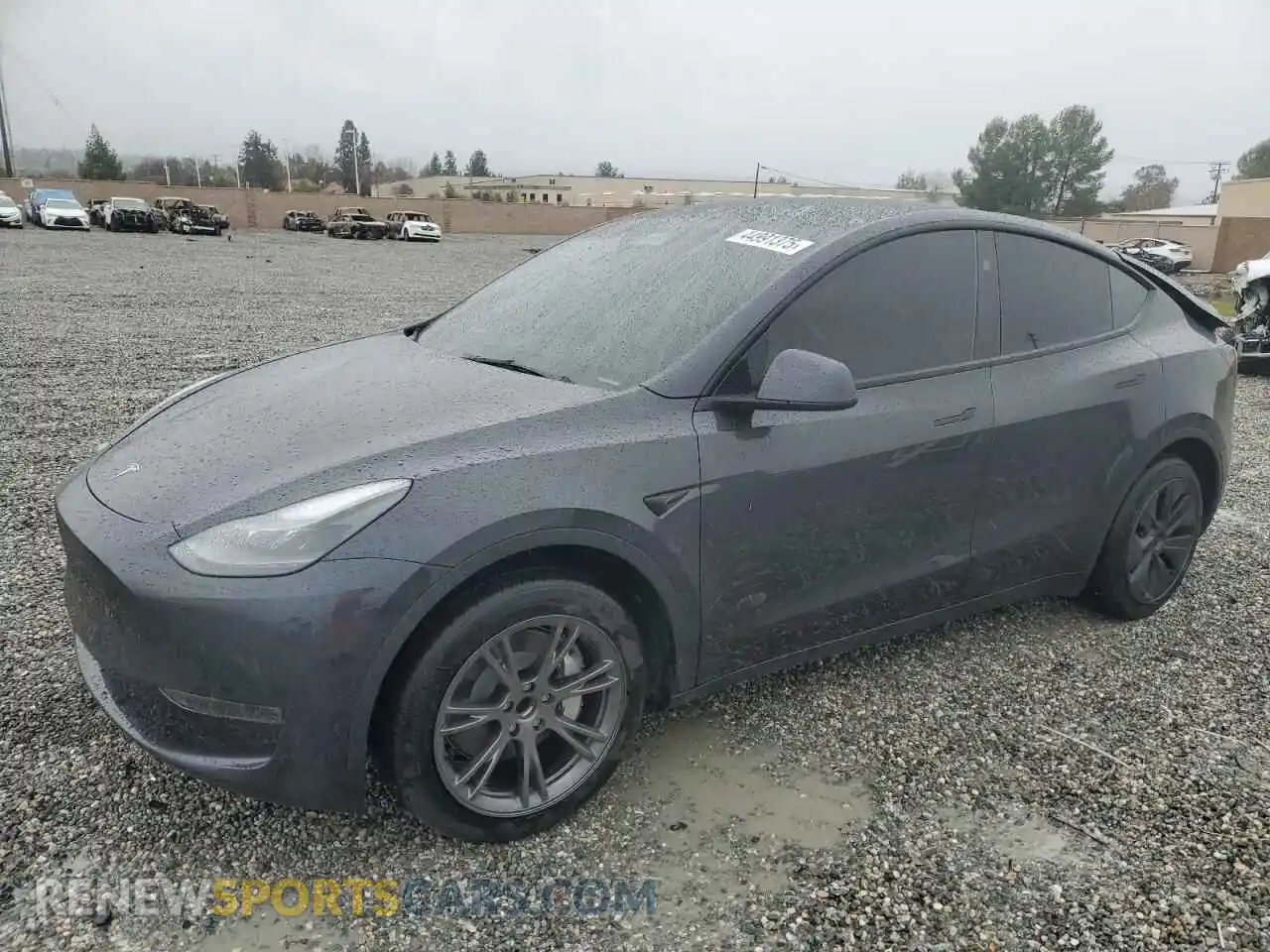 1 Photograph of a damaged car 7SAYGDED5RF125093 TESLA MODEL Y 2024