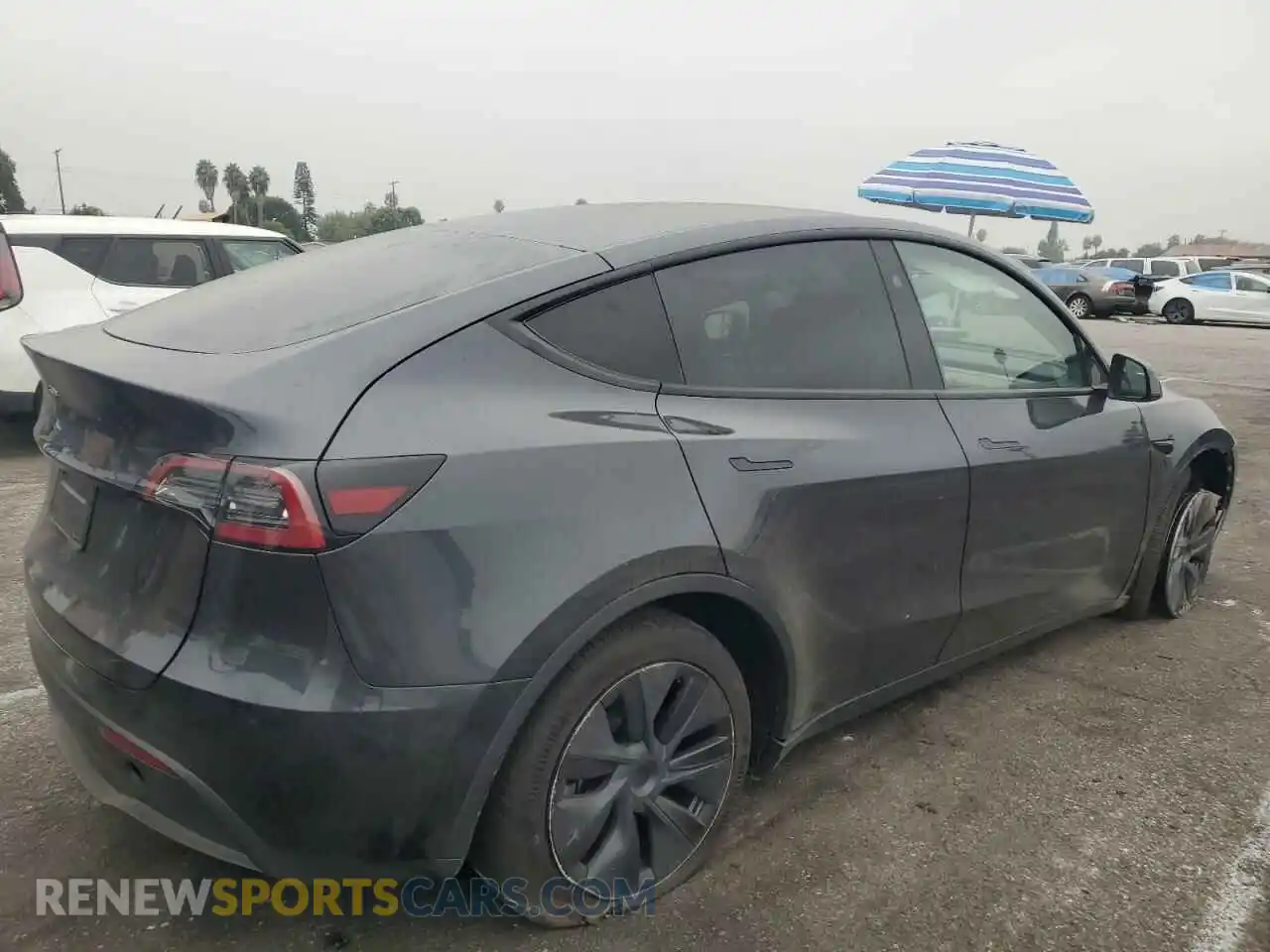 3 fotografías del automóvil dañado 7SAYGDED5RF161155 TESLA MODEL Y 2024