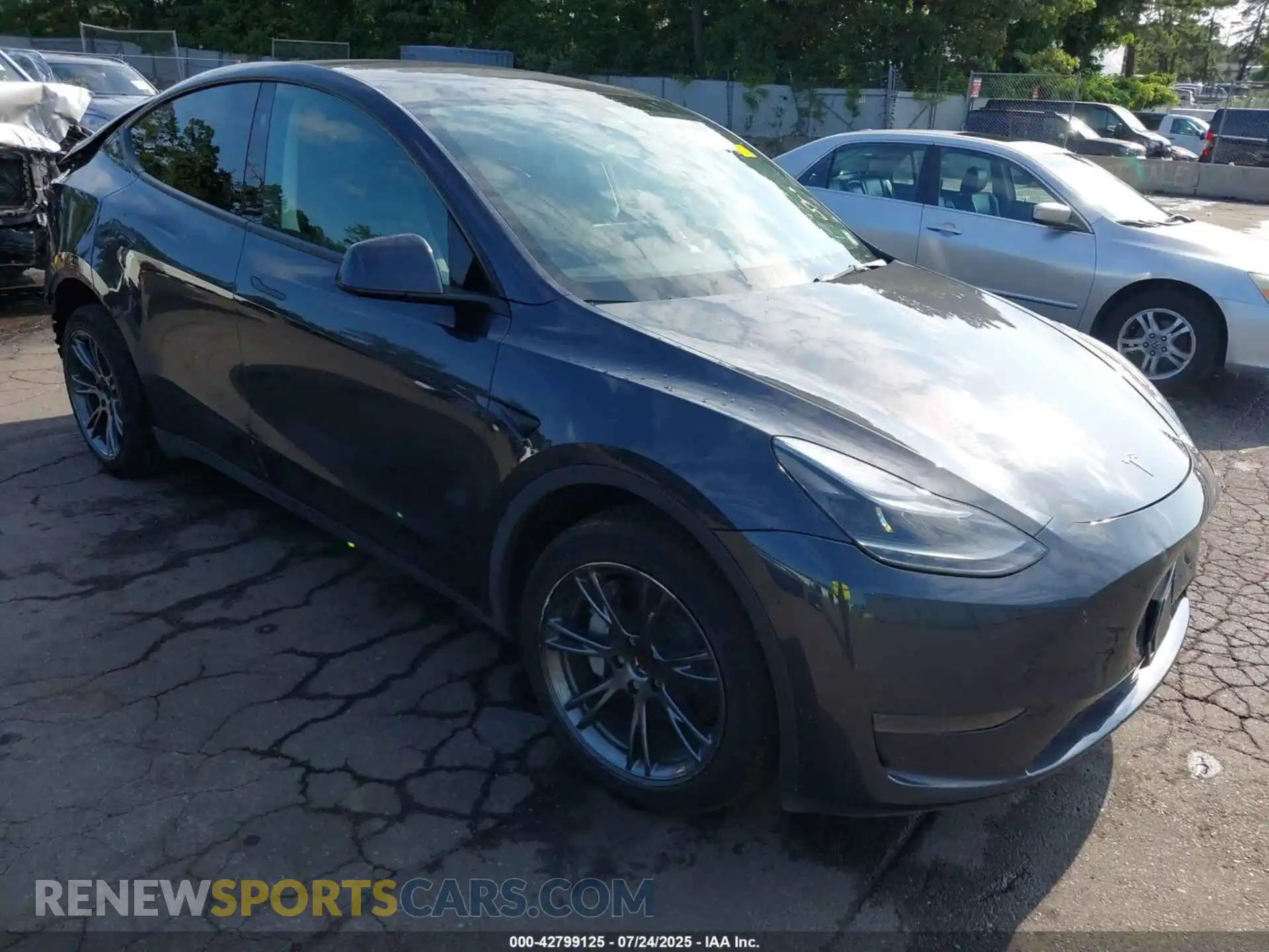 1 Photograph of a damaged car 7SAYGDED6RF206264 TESLA MODEL Y 2024