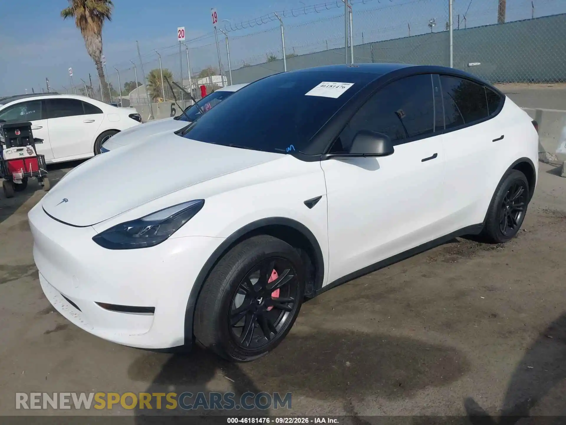 2 Photograph of a damaged car 7SAYGDED8RF092025 TESLA MODEL Y 2024
