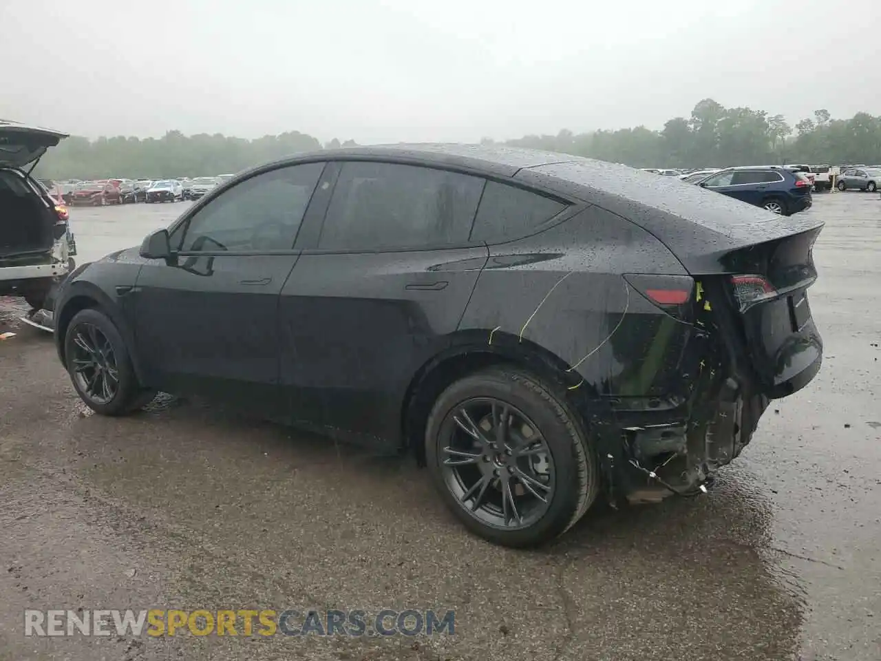 2 Photograph of a damaged car 7SAYGDED9RF195941 TESLA MODEL Y 2024