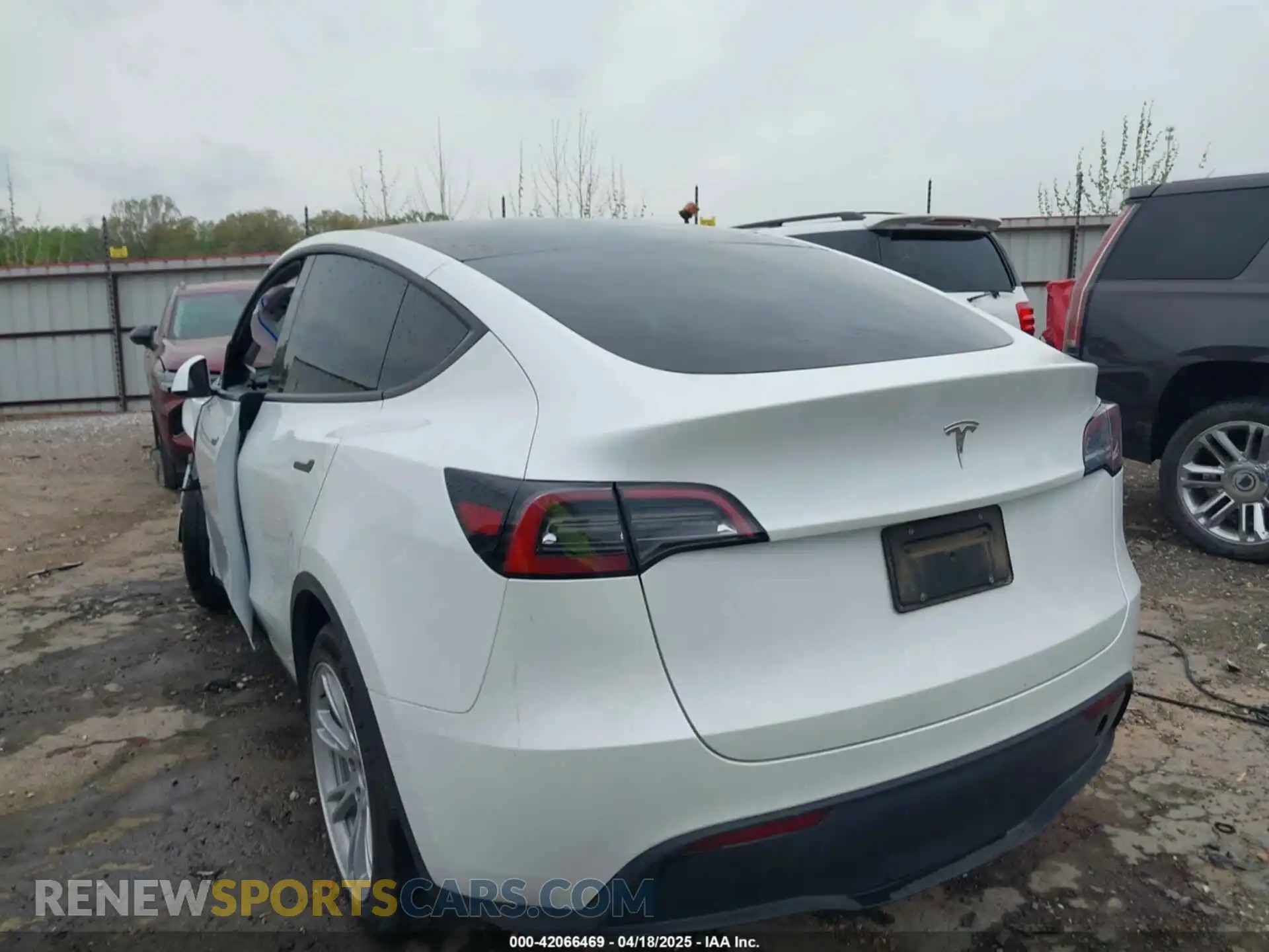 3 fotografías del automóvil dañado 7SAYGDEDXRF035969 TESLA MODEL Y 2024