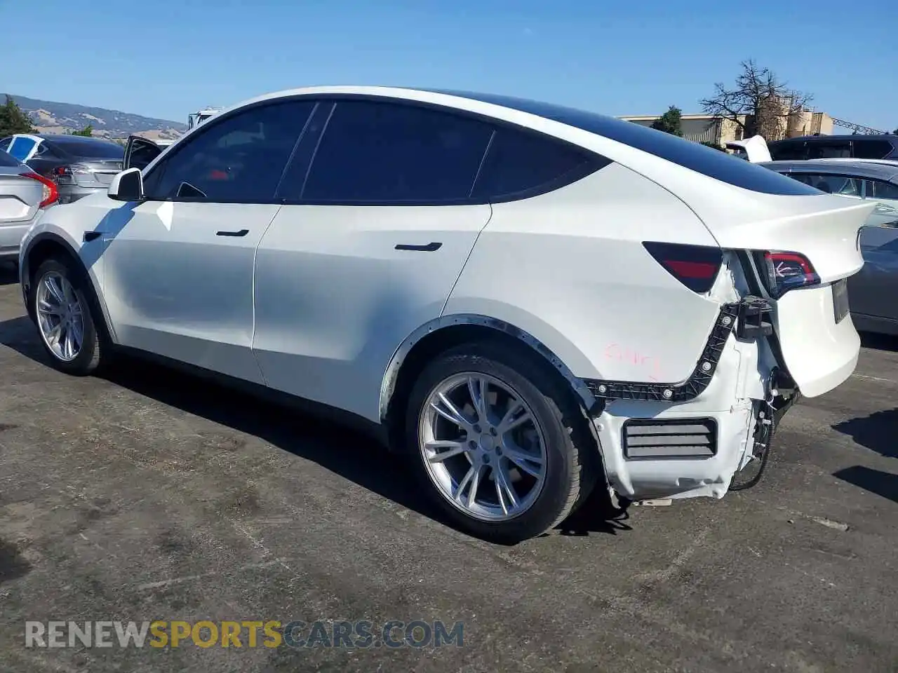 2 Фотография поврежденного автомобиля 7SAYGDEE0RF066981 TESLA MODEL Y 2024