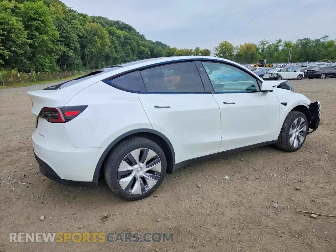 3 fotografías del automóvil dañado 7SAYGDEE1RA259976 TESLA MODEL Y 2024