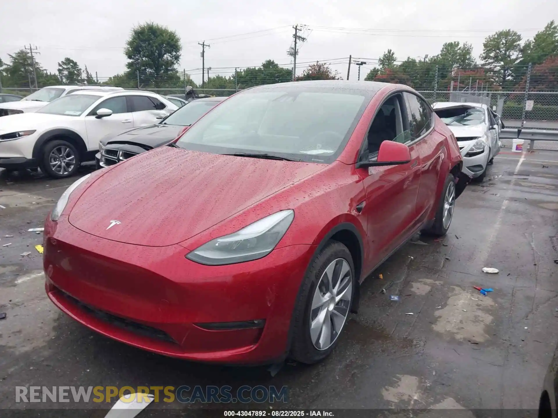 2 Photograph of a damaged car 7SAYGDEE1RF988367 TESLA MODEL Y 2024