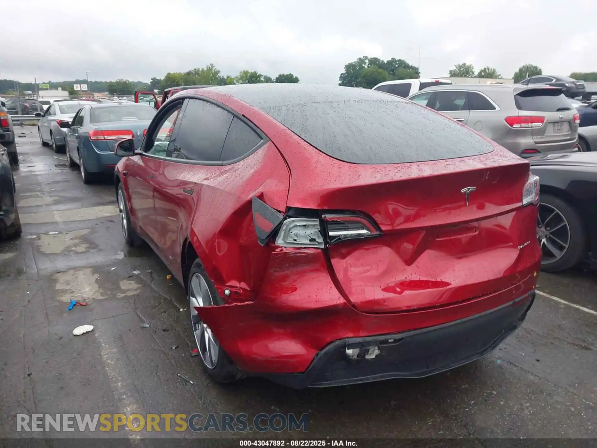 3 Photograph of a damaged car 7SAYGDEE1RF988367 TESLA MODEL Y 2024