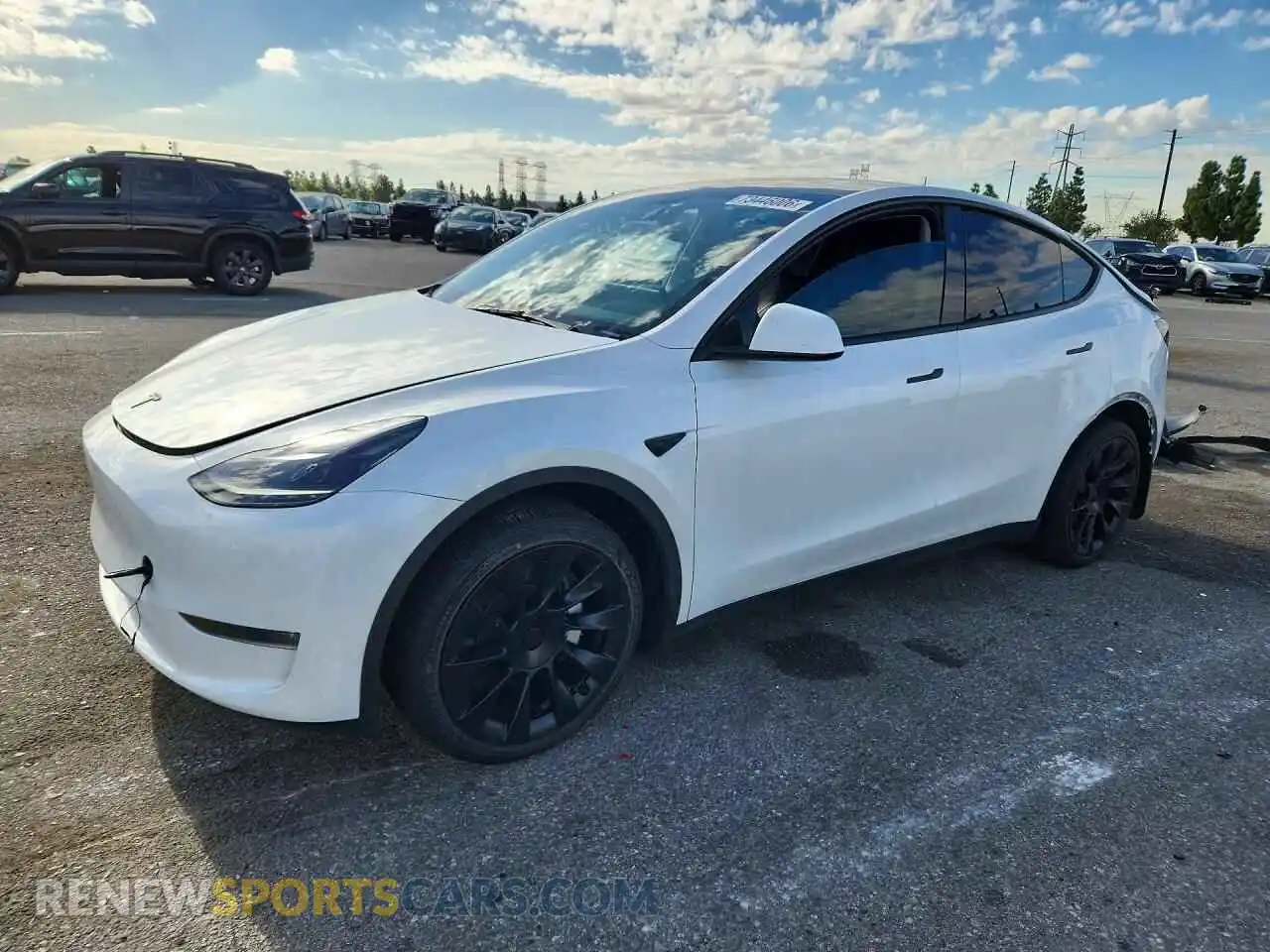 1 fotografías del automóvil dañado 7SAYGDEE2RA259436 TESLA MODEL Y 2024