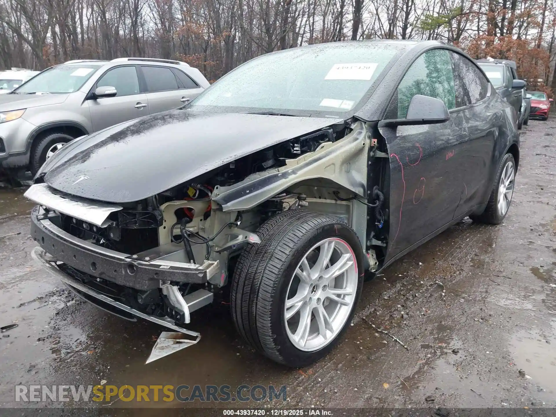 2 Photograph of a damaged car 7SAYGDEE3RA226283 TESLA MODEL Y 2024