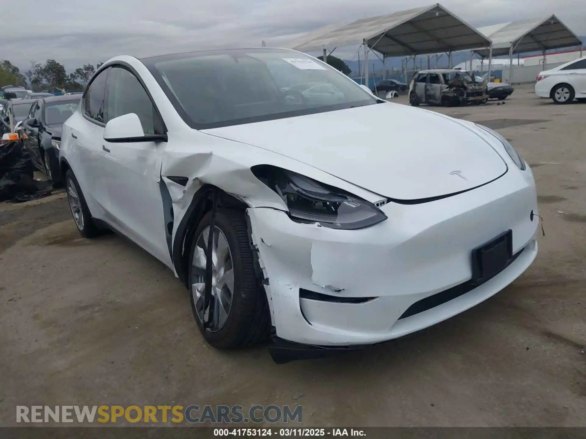 1 fotografías del automóvil dañado 7SAYGDEE3RA232293 TESLA MODEL Y 2024