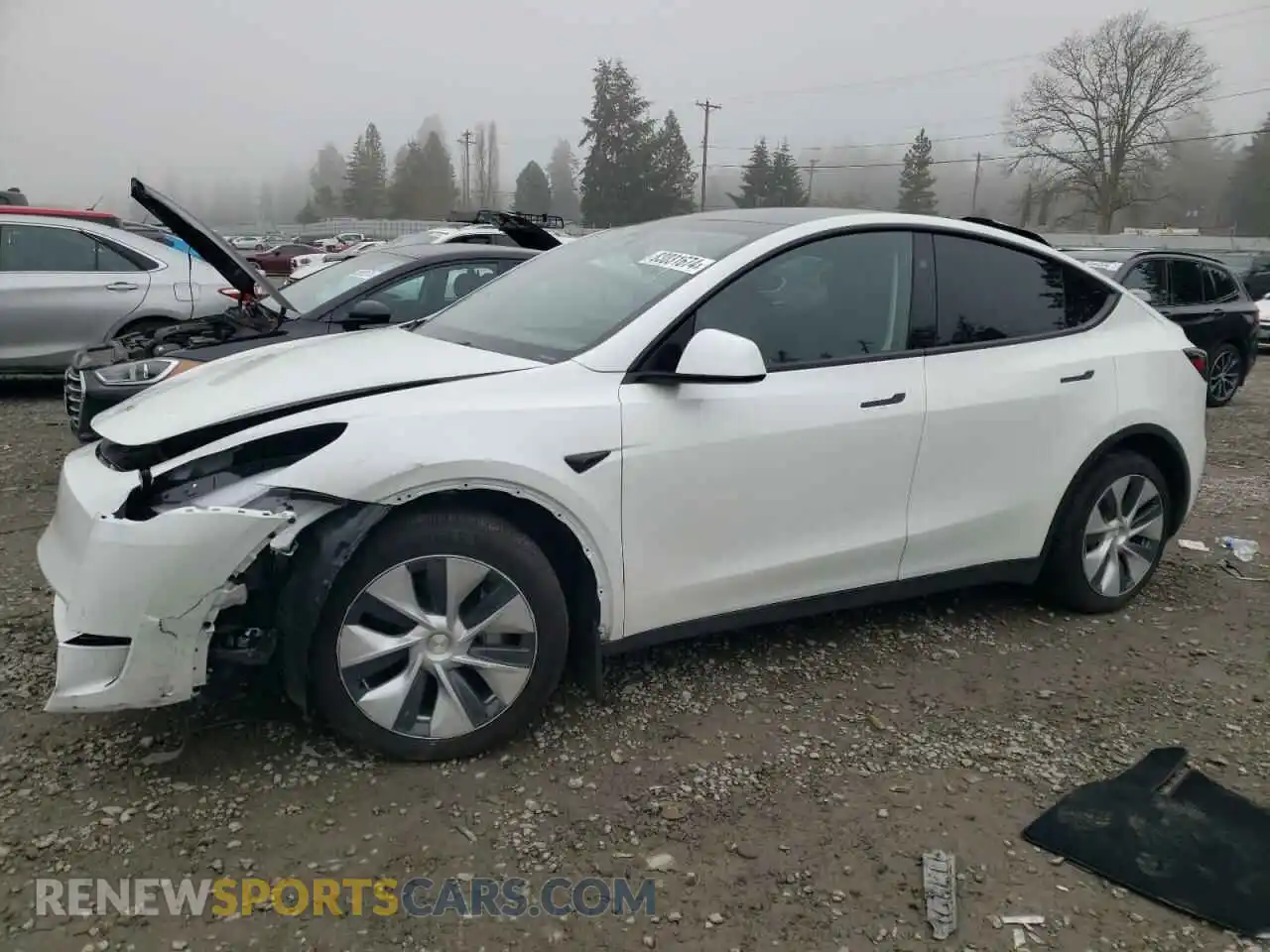 1 Photograph of a damaged car 7SAYGDEE3RF014812 TESLA MODEL Y 2024