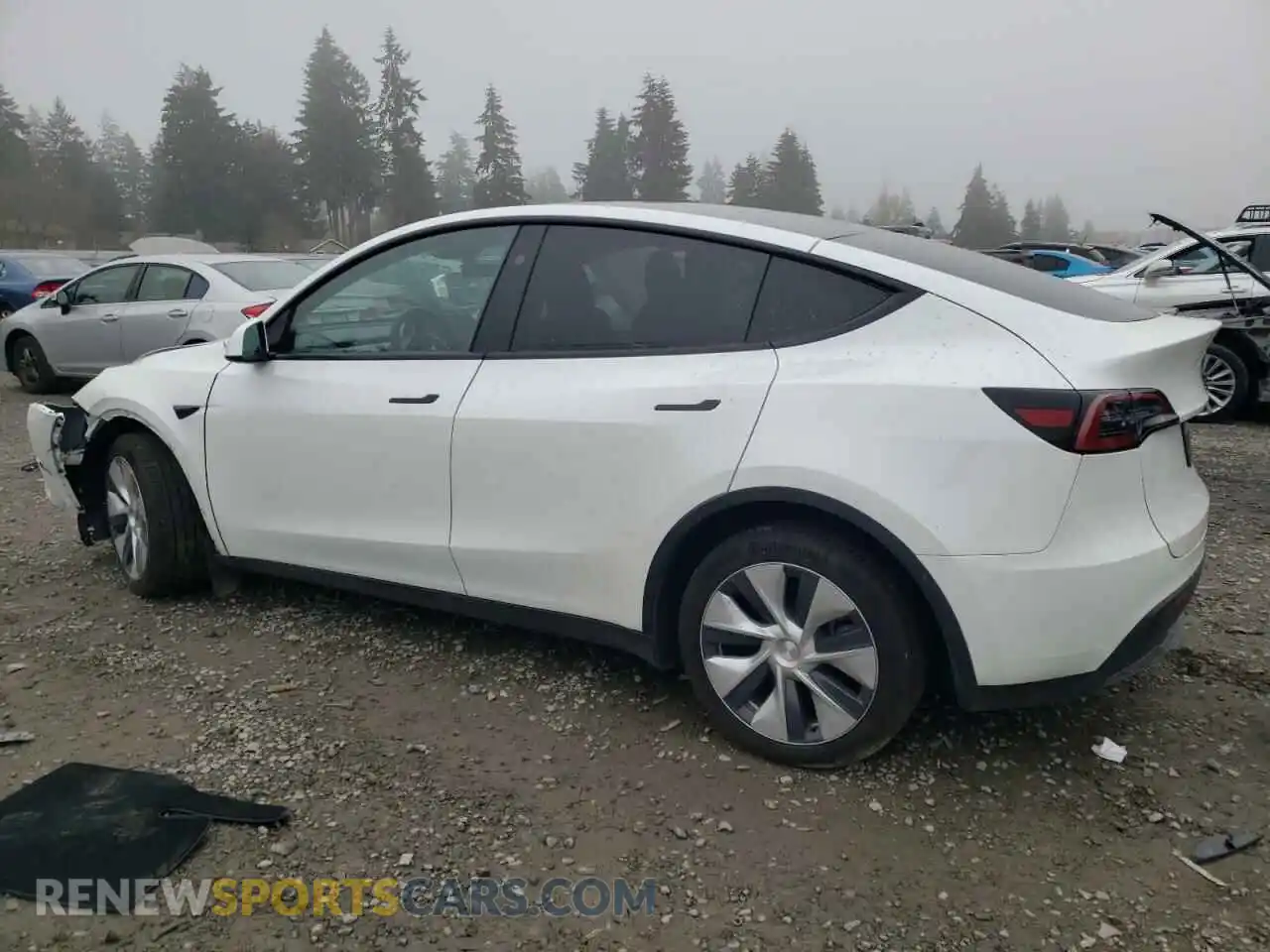 2 Photograph of a damaged car 7SAYGDEE3RF014812 TESLA MODEL Y 2024