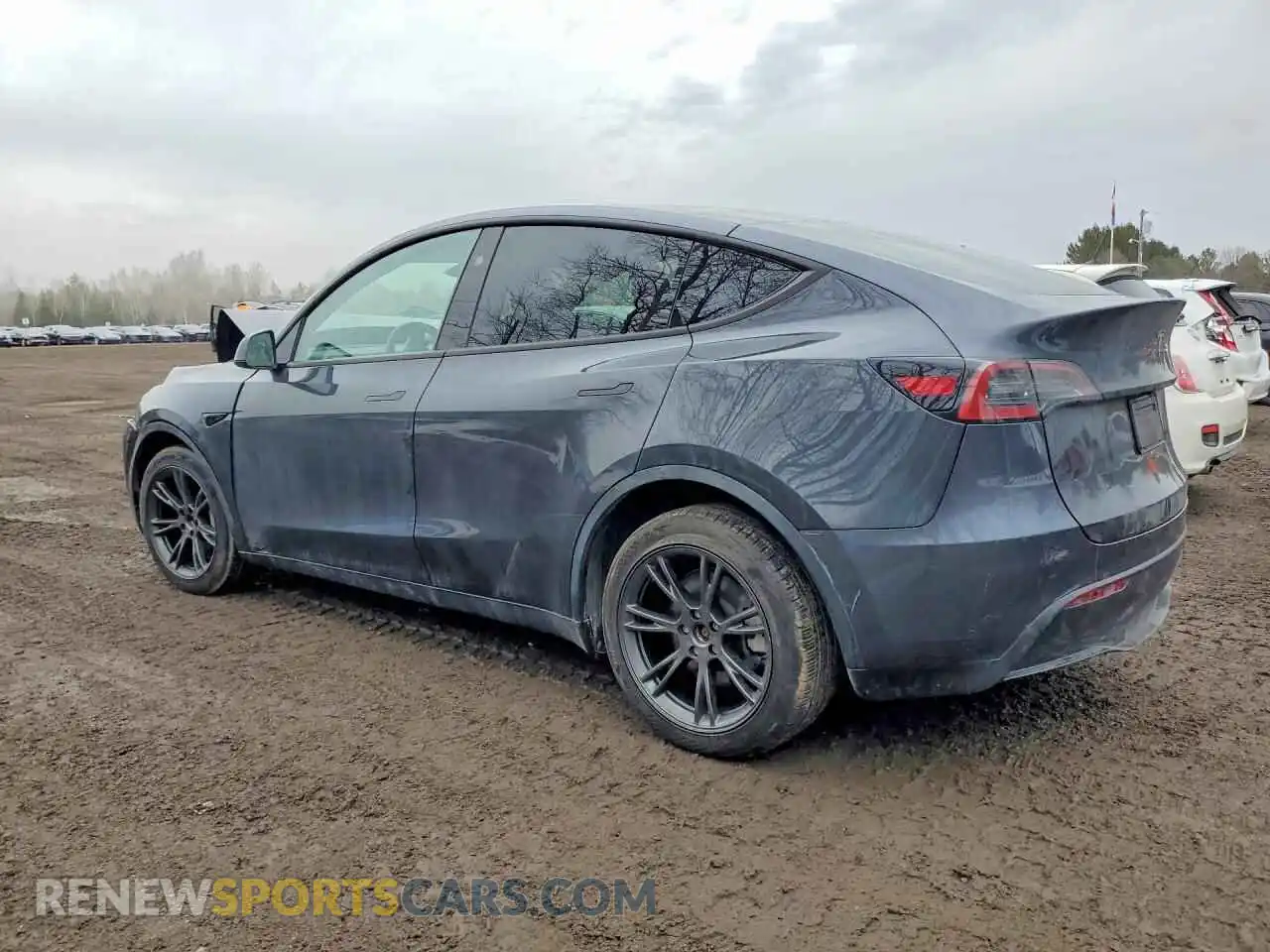 2 Photograph of a damaged car 7SAYGDEE3RF203640 TESLA MODEL Y 2024
