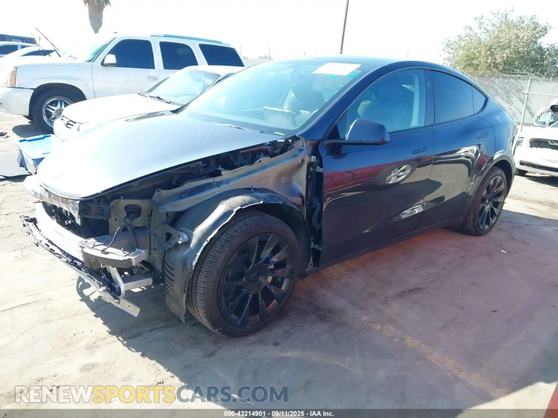 2 Photograph of a damaged car 7SAYGDEE4RA234652 TESLA MODEL Y 2024