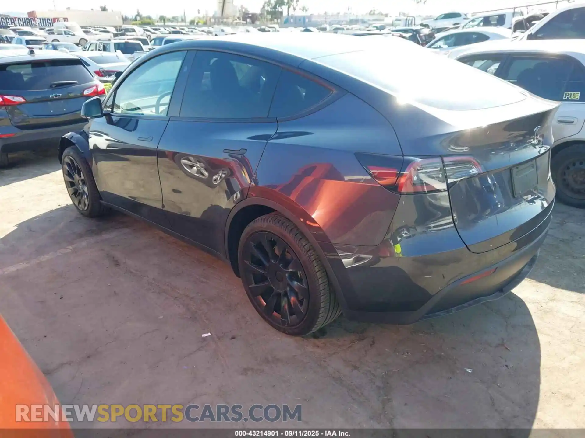 3 Photograph of a damaged car 7SAYGDEE4RA234652 TESLA MODEL Y 2024