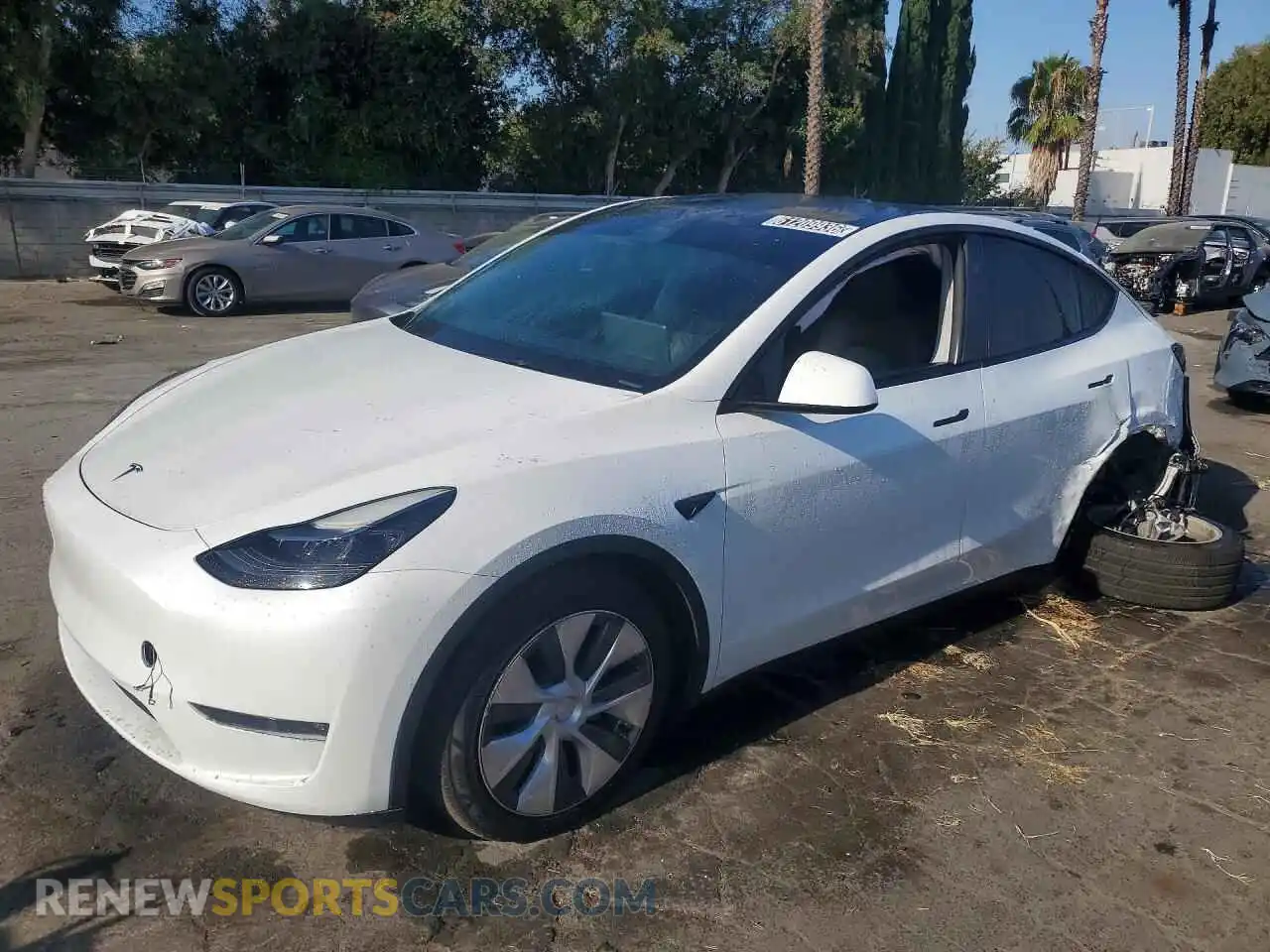 1 Фотография поврежденного автомобиля 7SAYGDEE4RA263584 TESLA MODEL Y 2024