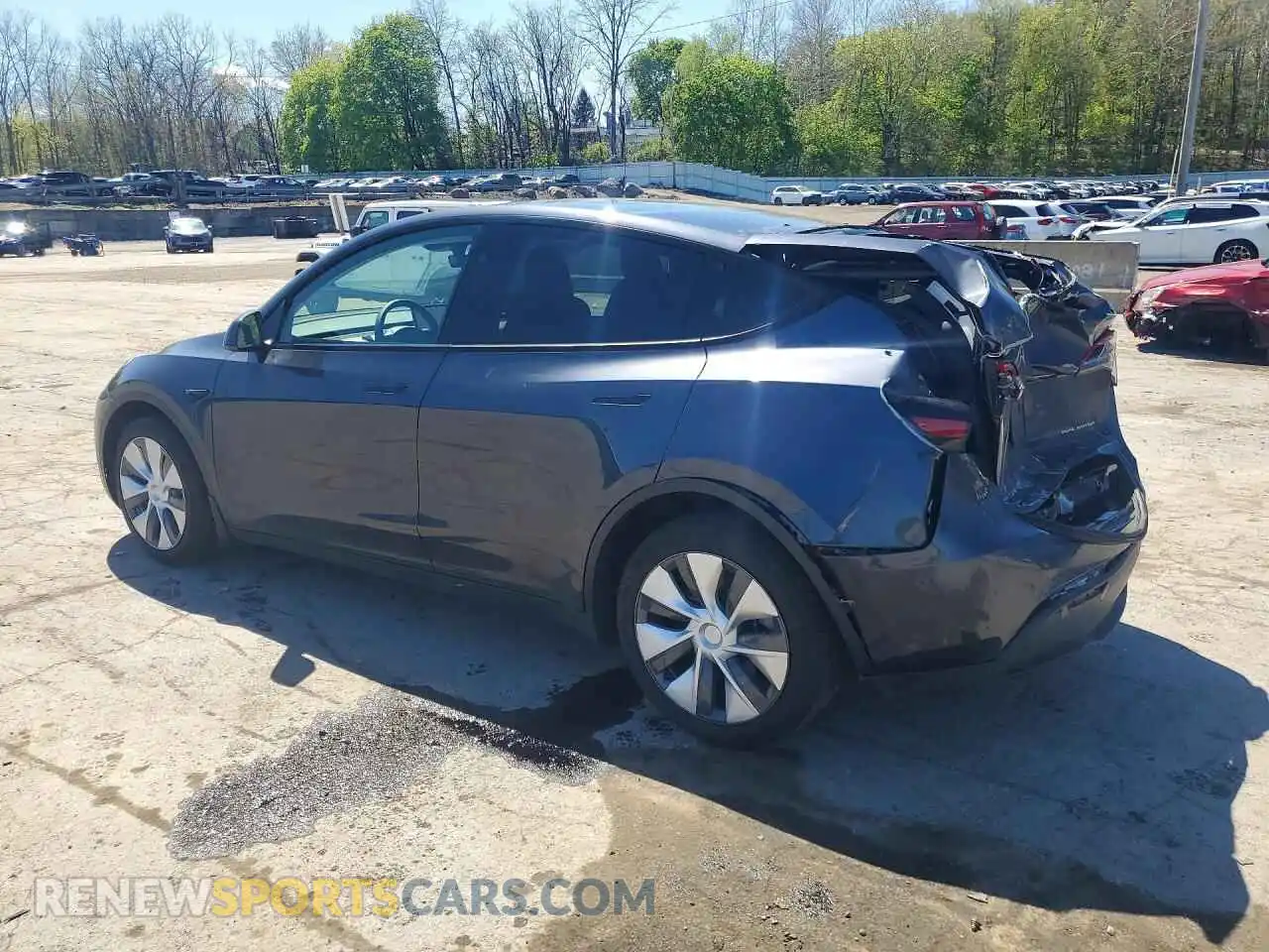 2 Photograph of a damaged car 7SAYGDEE4RA330037 TESLA MODEL Y 2024