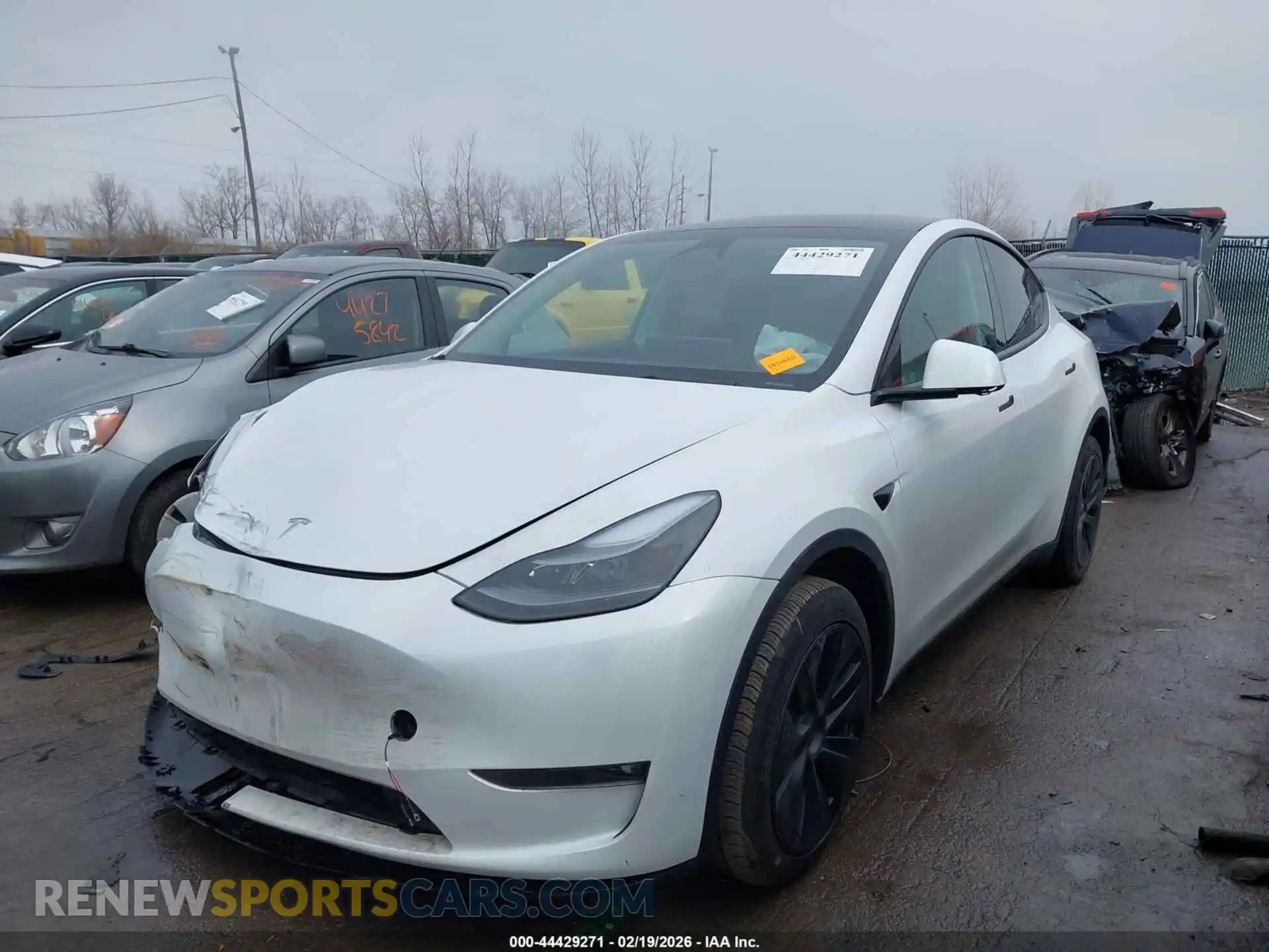 2 Photograph of a damaged car 7SAYGDEE4RF169322 TESLA MODEL Y 2024