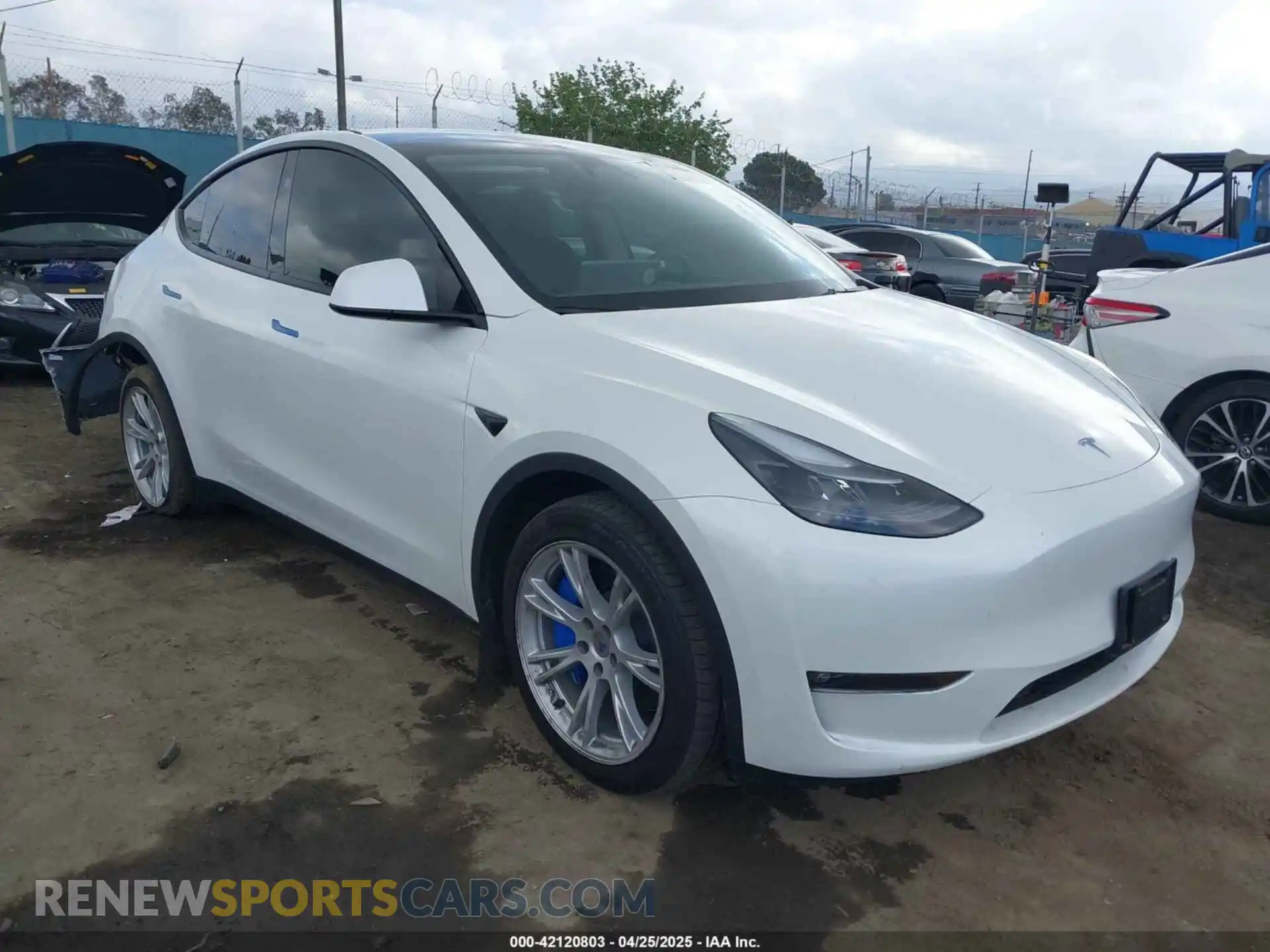 1 Photograph of a damaged car 7SAYGDEE5RF036018 TESLA MODEL Y 2024
