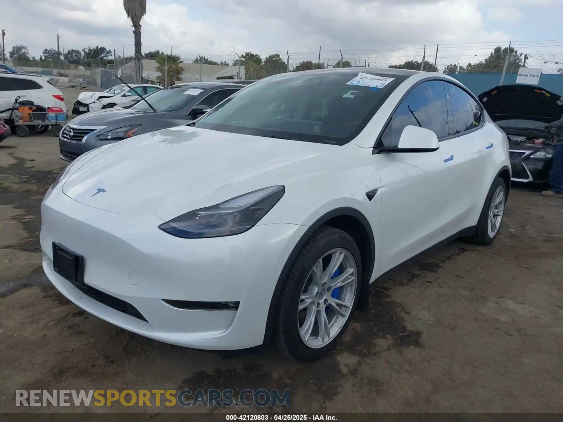 2 Photograph of a damaged car 7SAYGDEE5RF036018 TESLA MODEL Y 2024