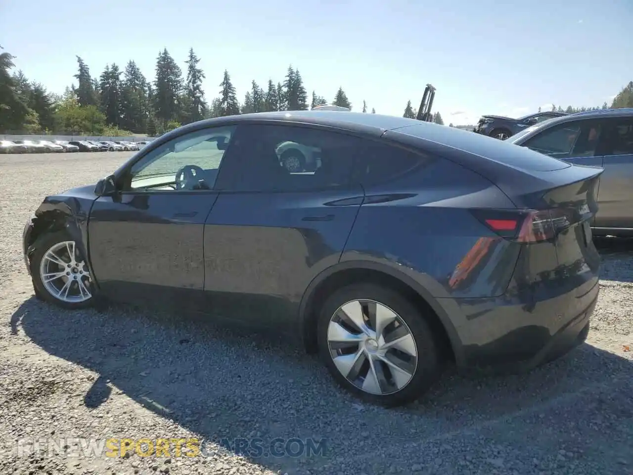 2 Photograph of a damaged car 7SAYGDEE5RF071206 TESLA MODEL Y 2024