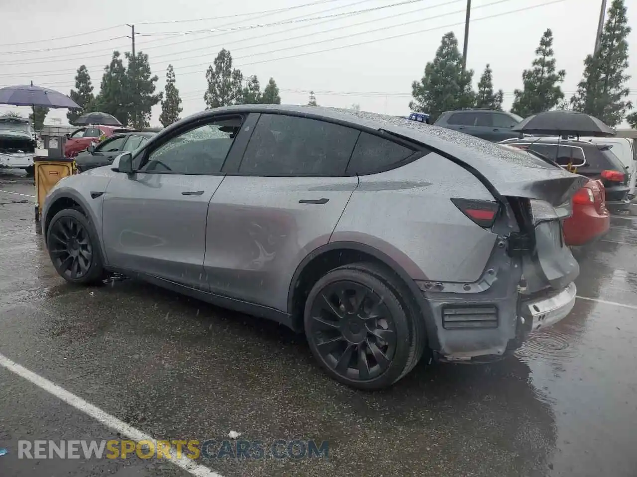2 Photograph of a damaged car 7SAYGDEE5RF195508 TESLA MODEL Y 2024