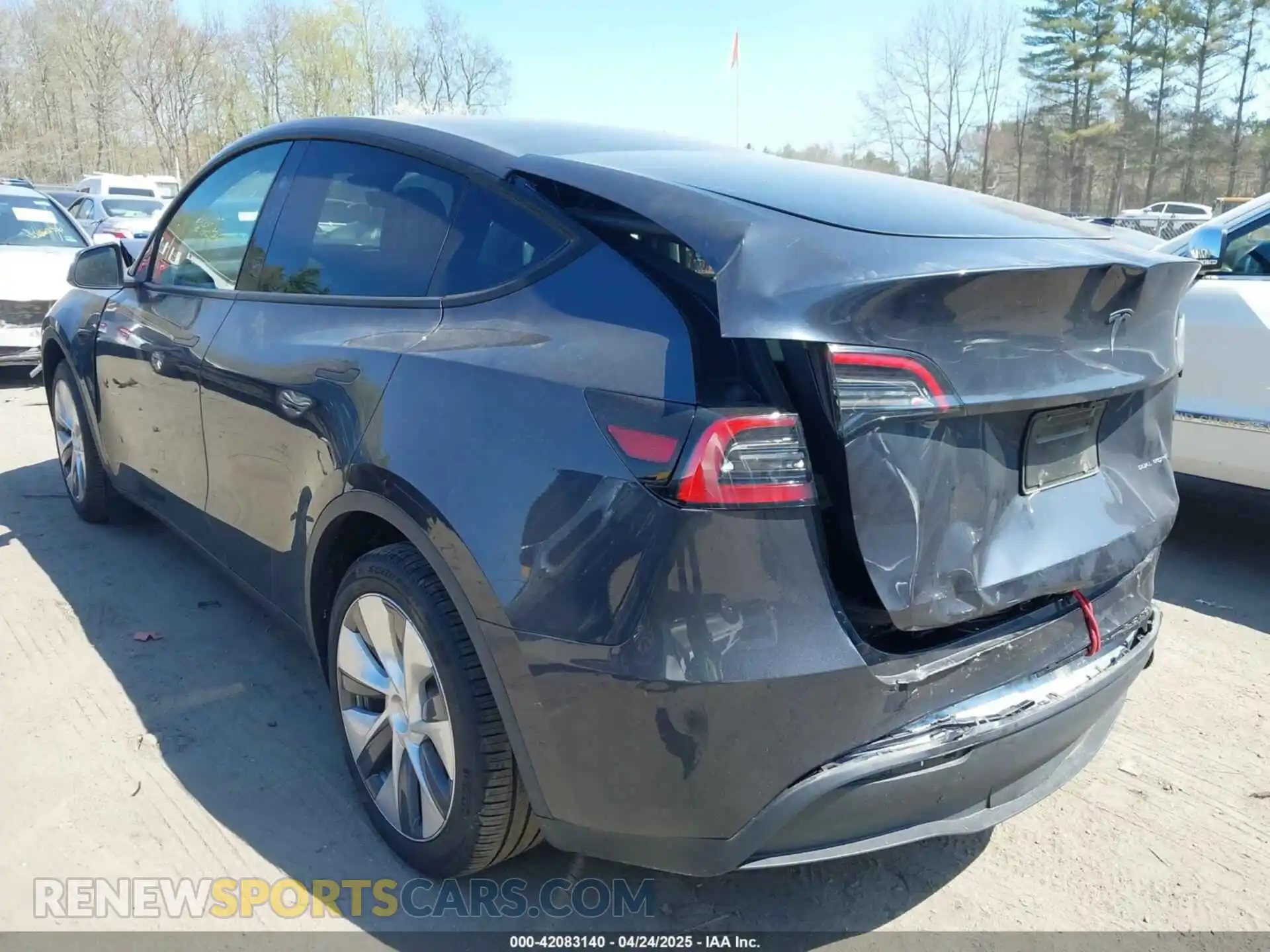 3 fotografías del automóvil dañado 7SAYGDEE6RA225161 TESLA MODEL Y 2024