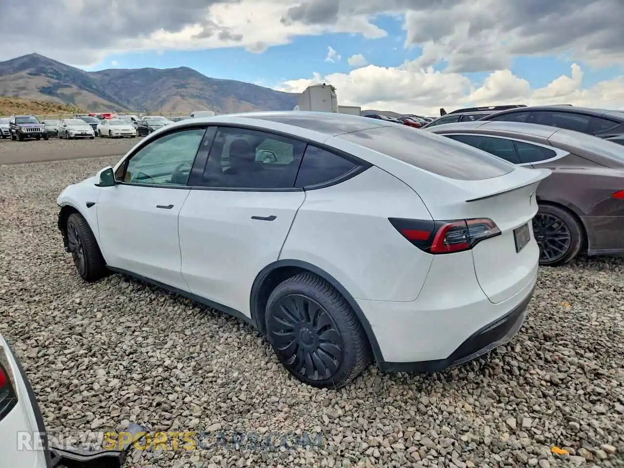 2 Photograph of a damaged car 7SAYGDEE7RA259139 TESLA MODEL Y 2024