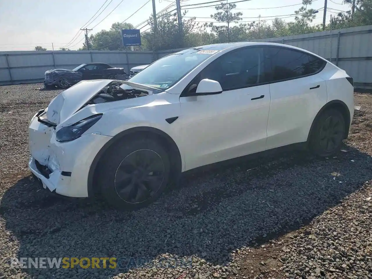 1 Фотография поврежденного автомобиля 7SAYGDEE7RA311739 TESLA MODEL Y 2024