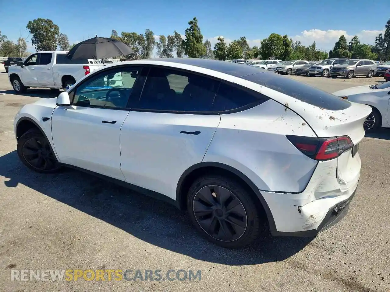 2 Photograph of a damaged car 7SAYGDEE8RF114582 TESLA MODEL Y 2024