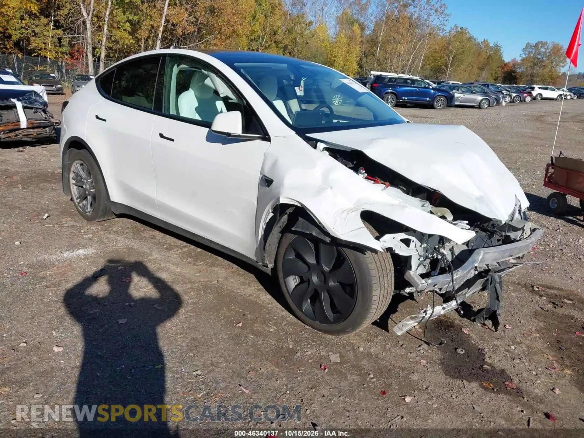 1 fotografías del automóvil dañado 7SAYGDEE8RF130992 TESLA MODEL Y 2024