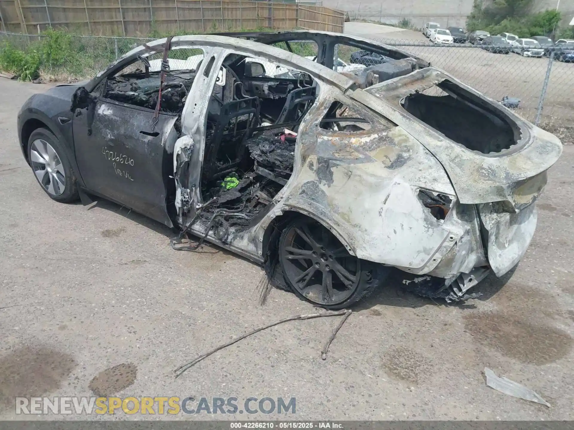 3 fotografías del automóvil dañado 7SAYGDEE8RF991377 TESLA MODEL Y 2024