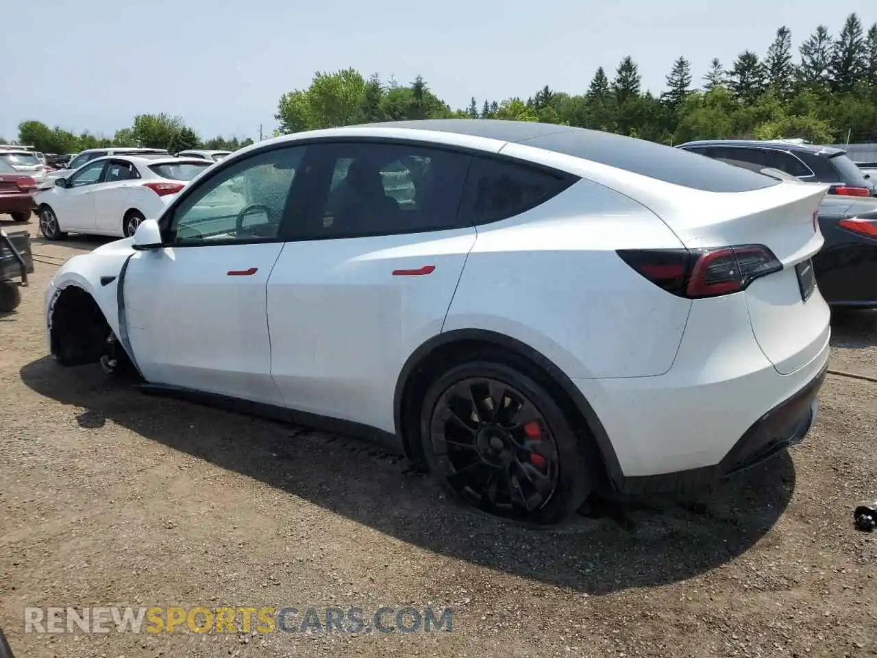 2 Photograph of a damaged car 7SAYGDEE9RF083729 TESLA MODEL Y 2024