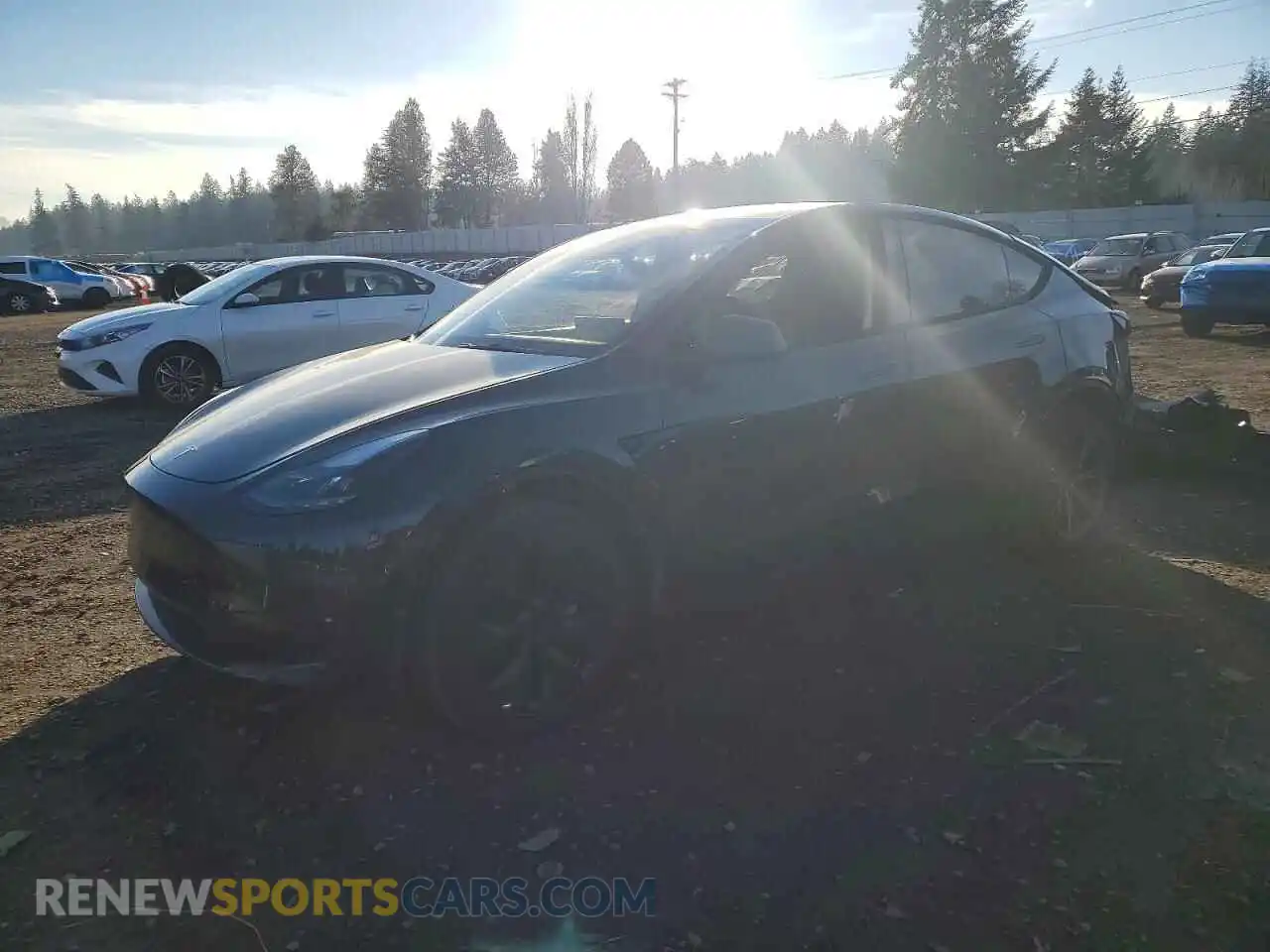 1 fotografías del automóvil dañado 7SAYGDEE9RF205604 TESLA MODEL Y 2024
