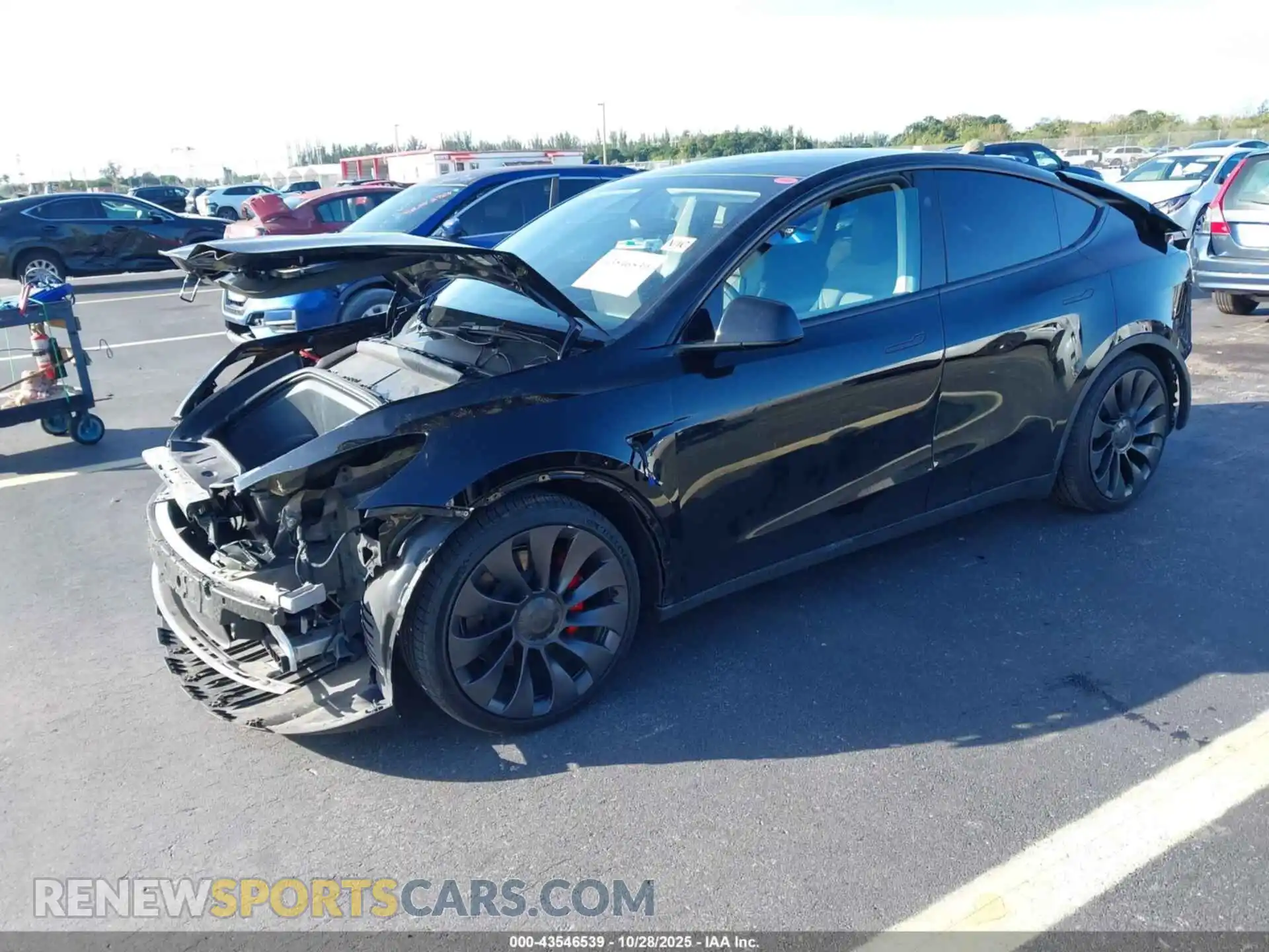2 Фотография поврежденного автомобиля 7SAYGDEF7RF042587 TESLA MODEL Y 2024