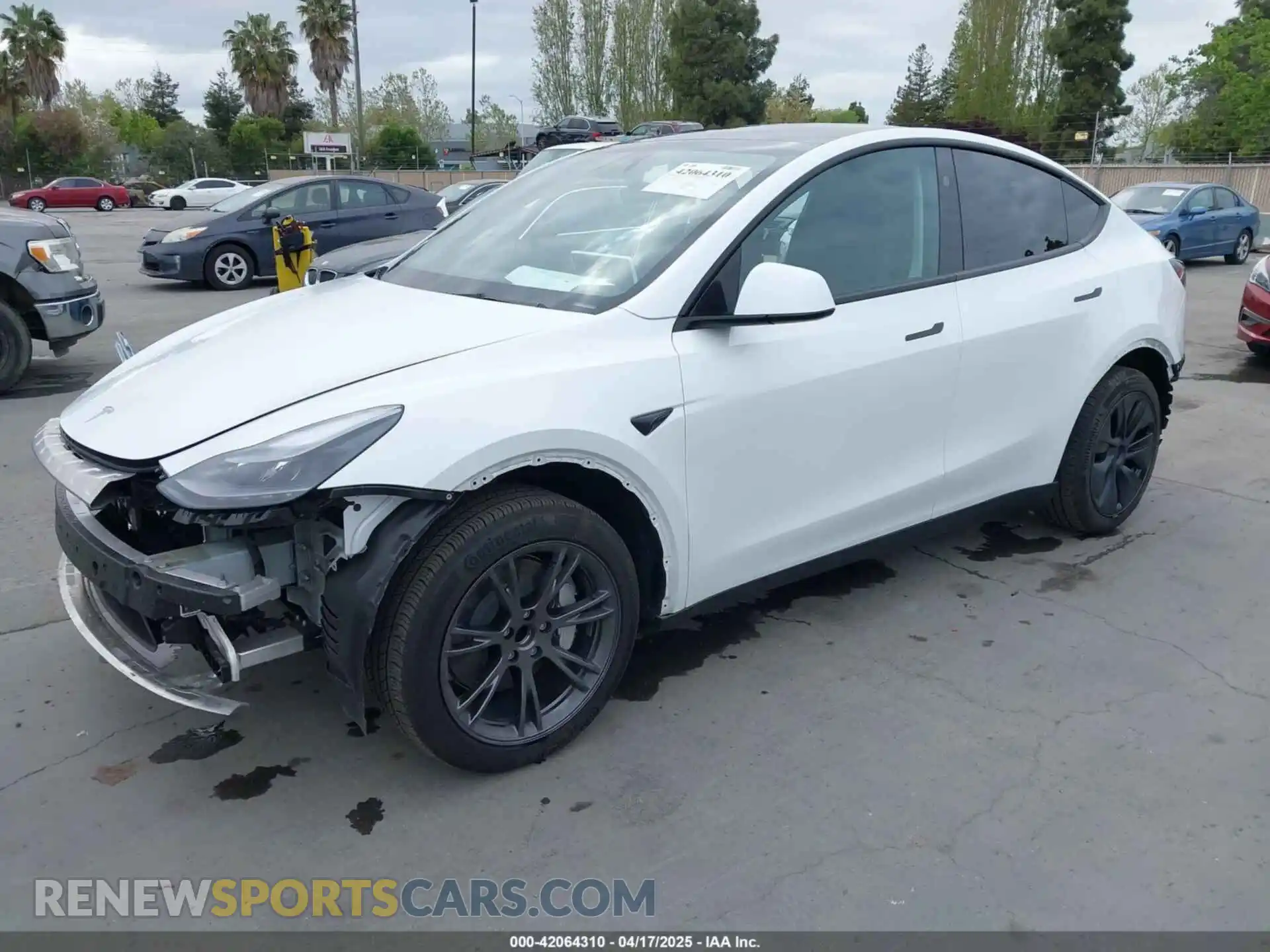 2 Photograph of a damaged car 7SAYGDED0SF281614 TESLA MODEL Y 2025