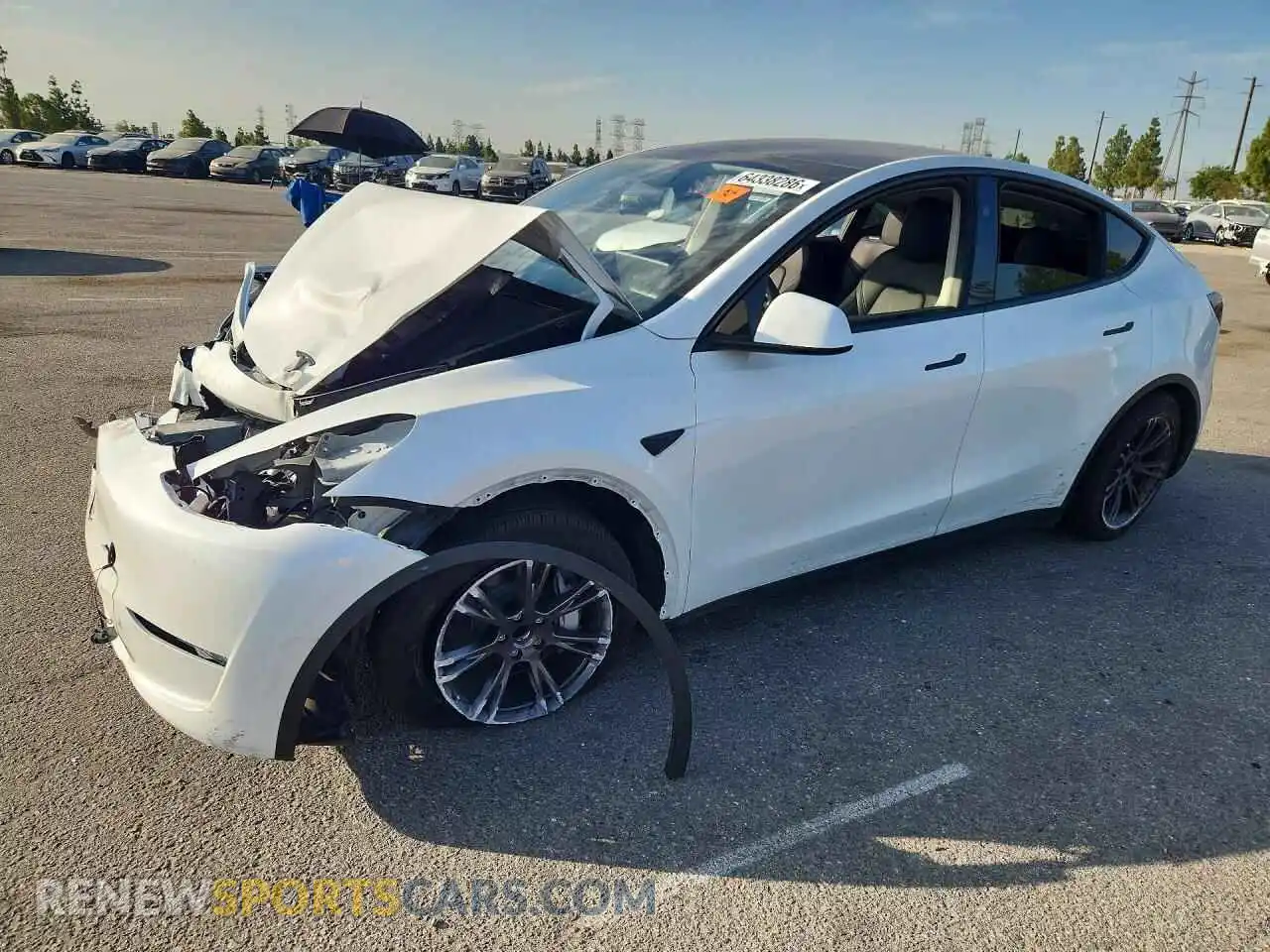 1 fotografías del automóvil dañado 7SAYGDED9SF311547 TESLA MODEL Y 2025