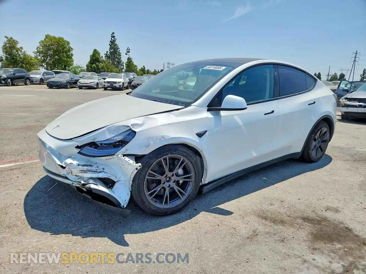 1 Фотография поврежденного автомобиля 7SAYGDEE0SF245513 TESLA MODEL Y 2025