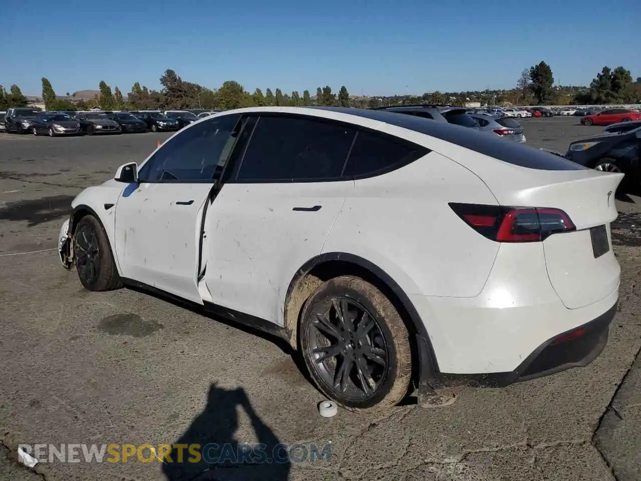 2 Photograph of a damaged car 7SAYGDEE3SF236434 TESLA MODEL Y 2025