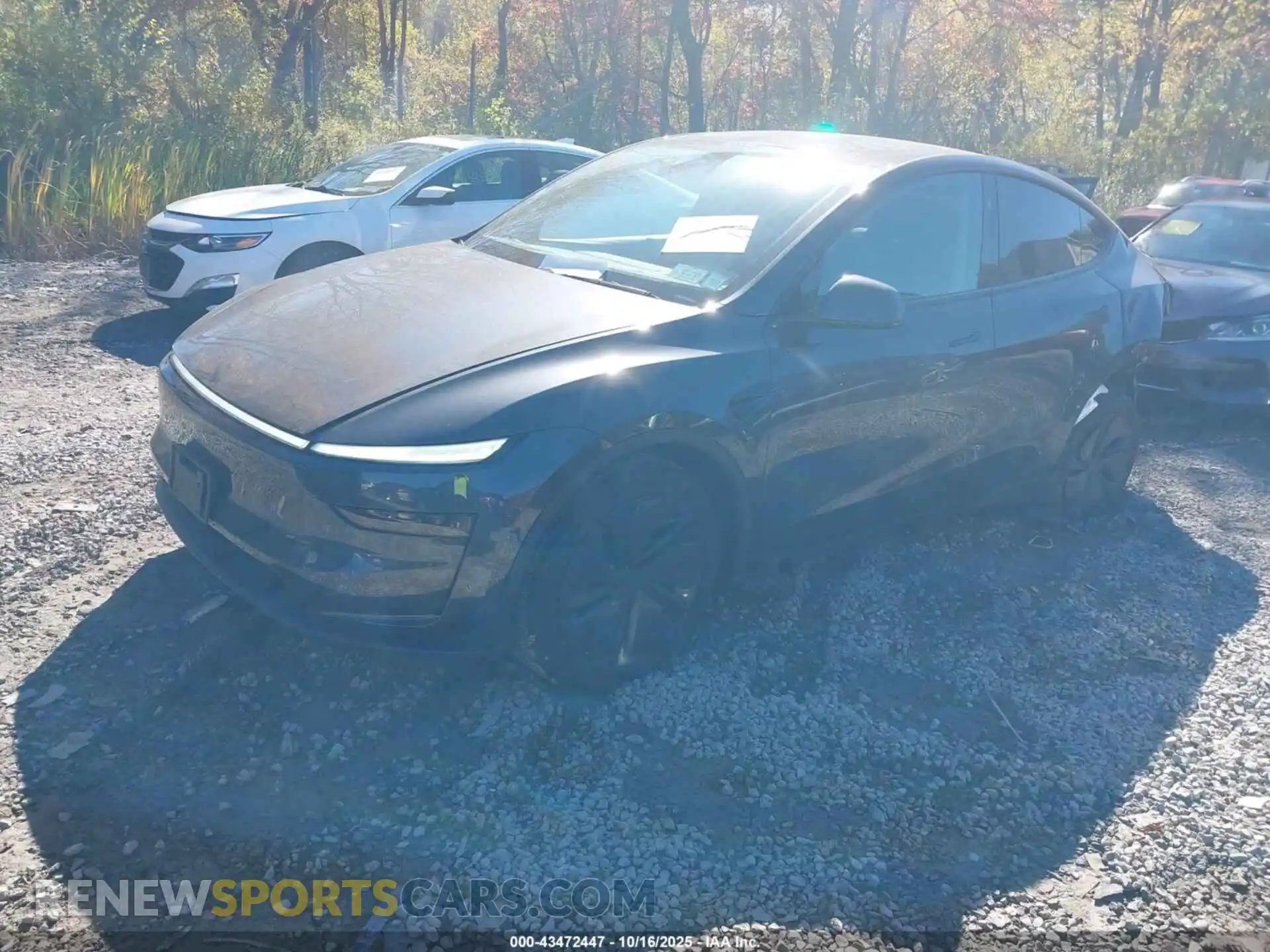 2 fotografías del automóvil dañado 7SAYGDEE2TF364133 TESLA MODEL Y 2026