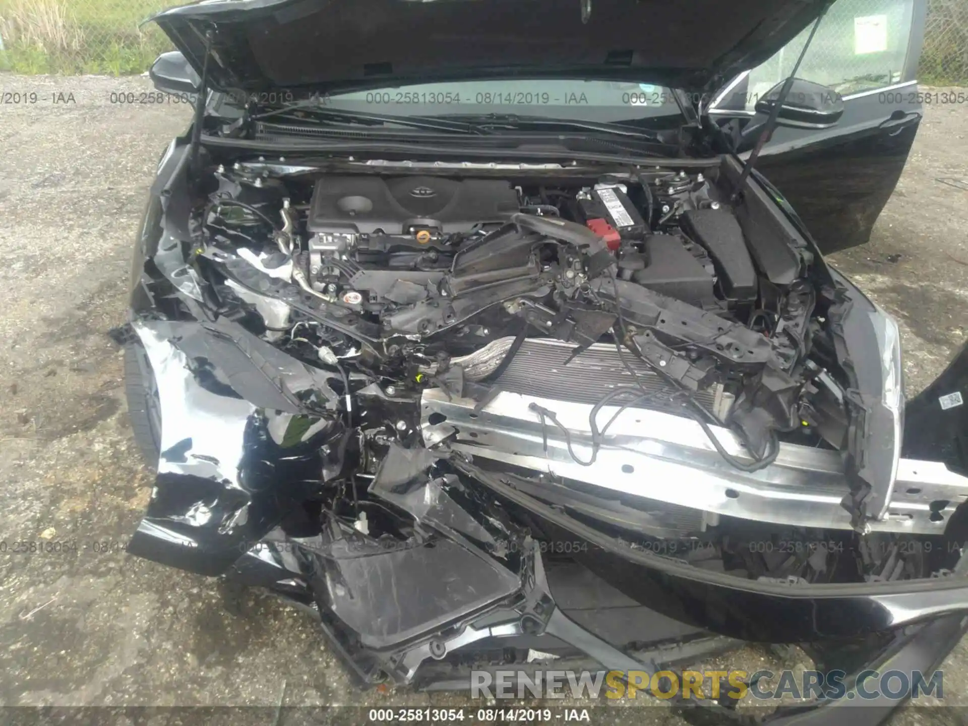 6 Photograph of a damaged car 4T1B11HK3KU728064 TOYOTA CAMRY 2019