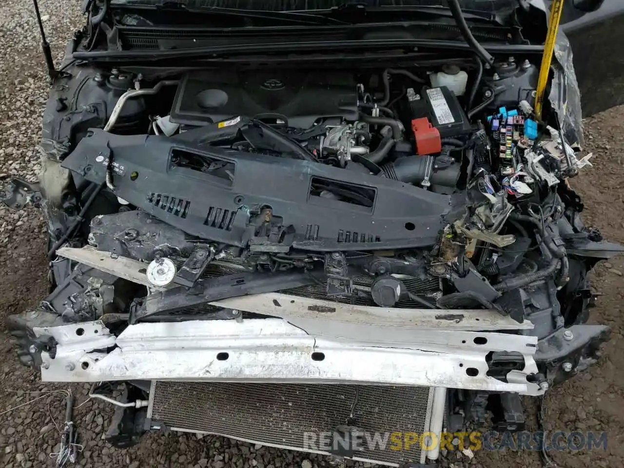 11 Photograph of a damaged car 4T1B11HK4KU797667 TOYOTA CAMRY 2019