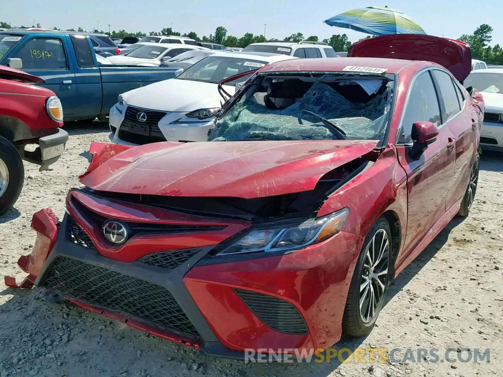 2 Photograph of a damaged car 4T1B11HK5KU203670 TOYOTA CAMRY 2019